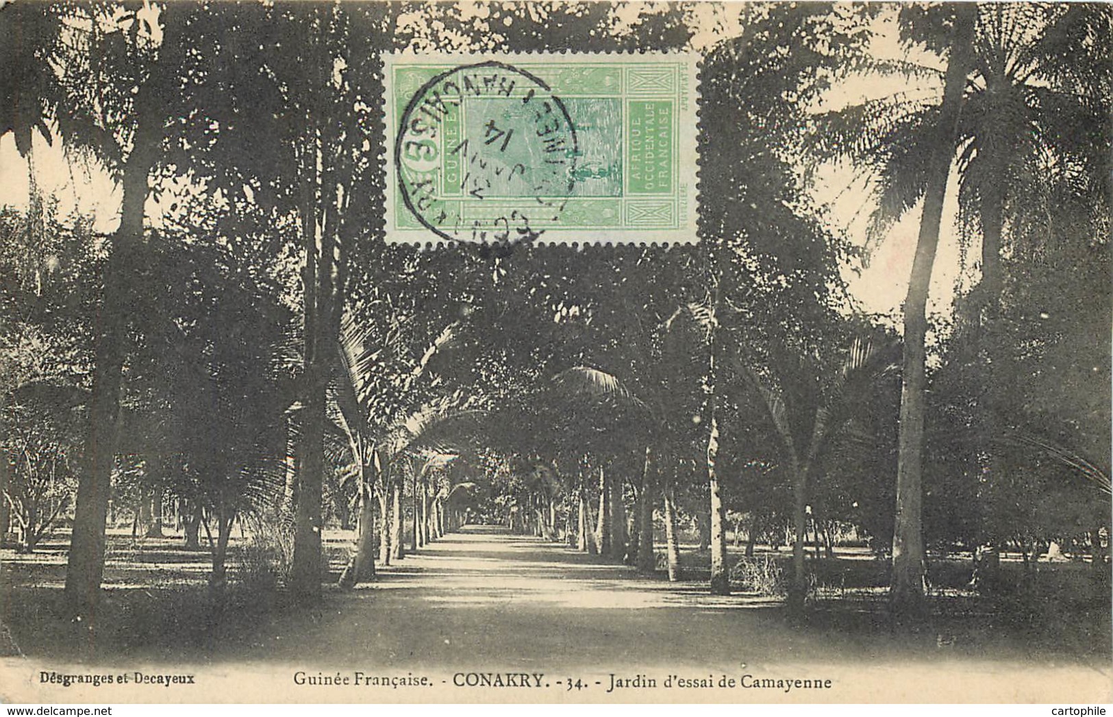 Guinée - Conakry - Jardins D'essai De Camayenne En 1914 - Guinea