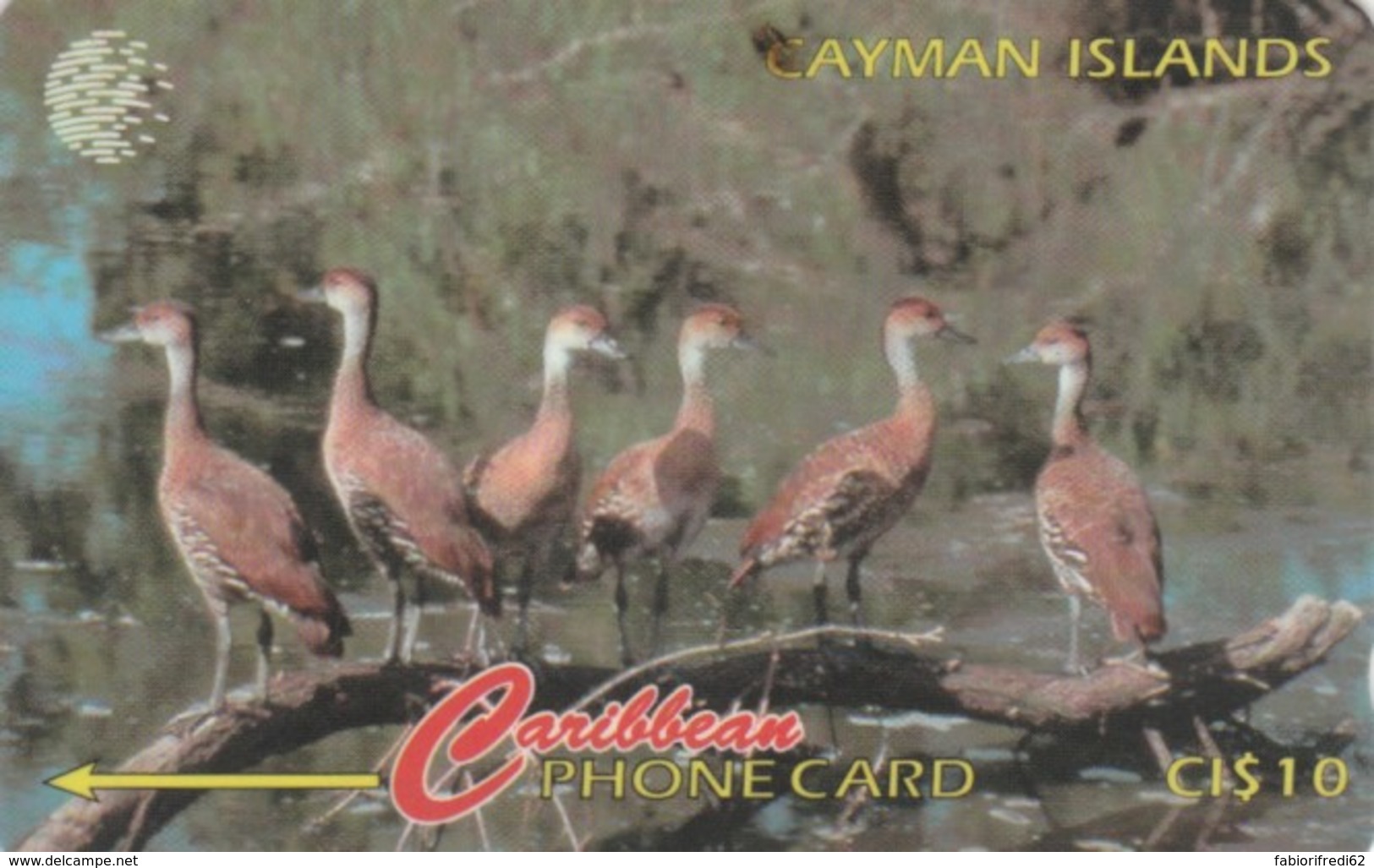 PHONE CARD CAYMAN (E58.8.2 - Isole Caiman