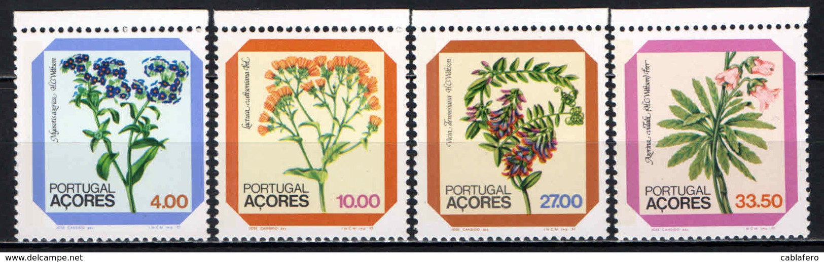 AZZORRE - 1982 - FLORA LOCALE - MNH - Azores