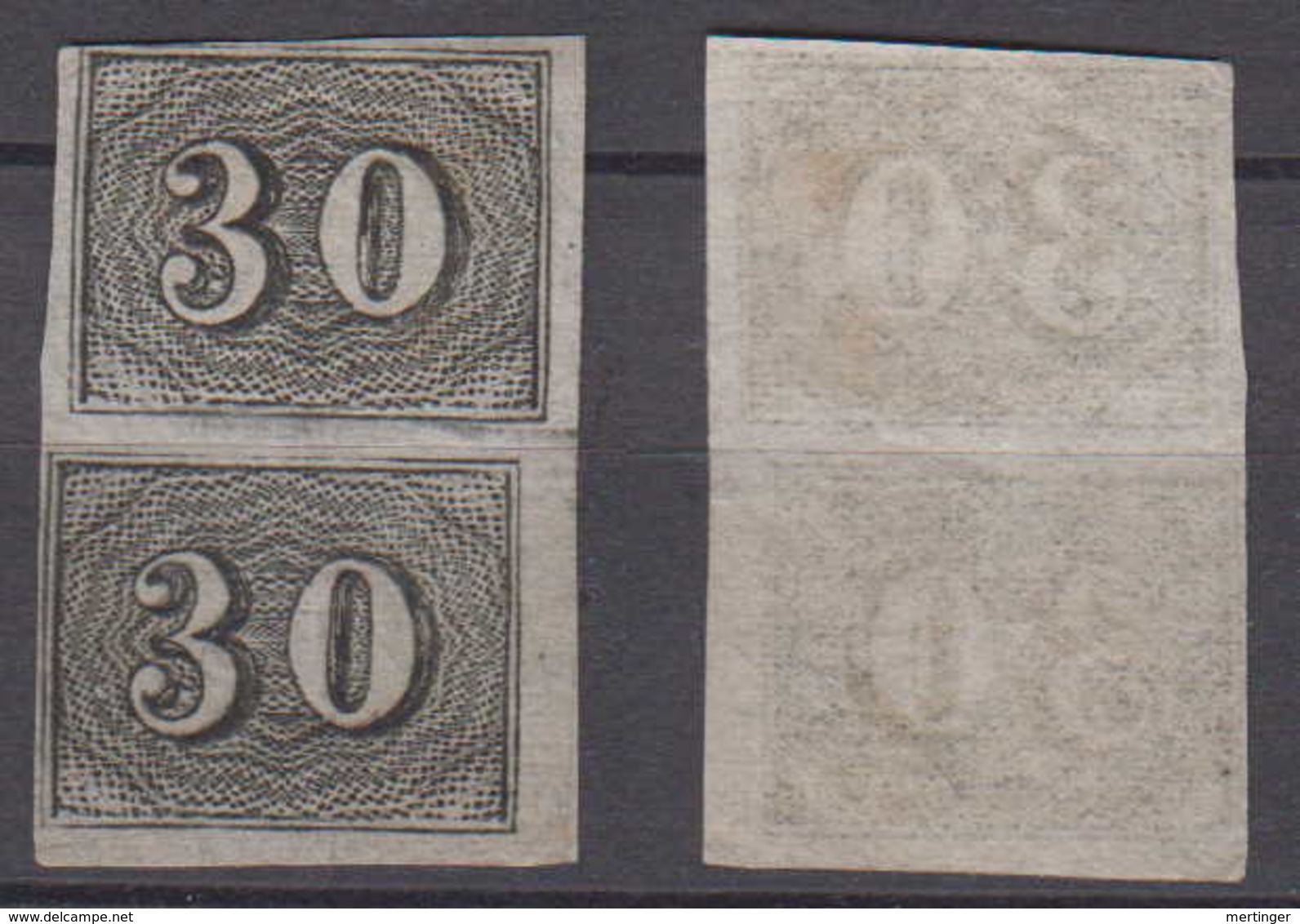 Brazil Brasil Mi# 13 (*) Mint Pair 30R Verticais - Unused Stamps