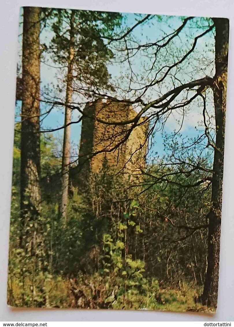 WANGENBOURG (Bas-Rhin) - La Suisse D'Alsace - Ruines Du Chateau - Vg F3 - Altri & Non Classificati