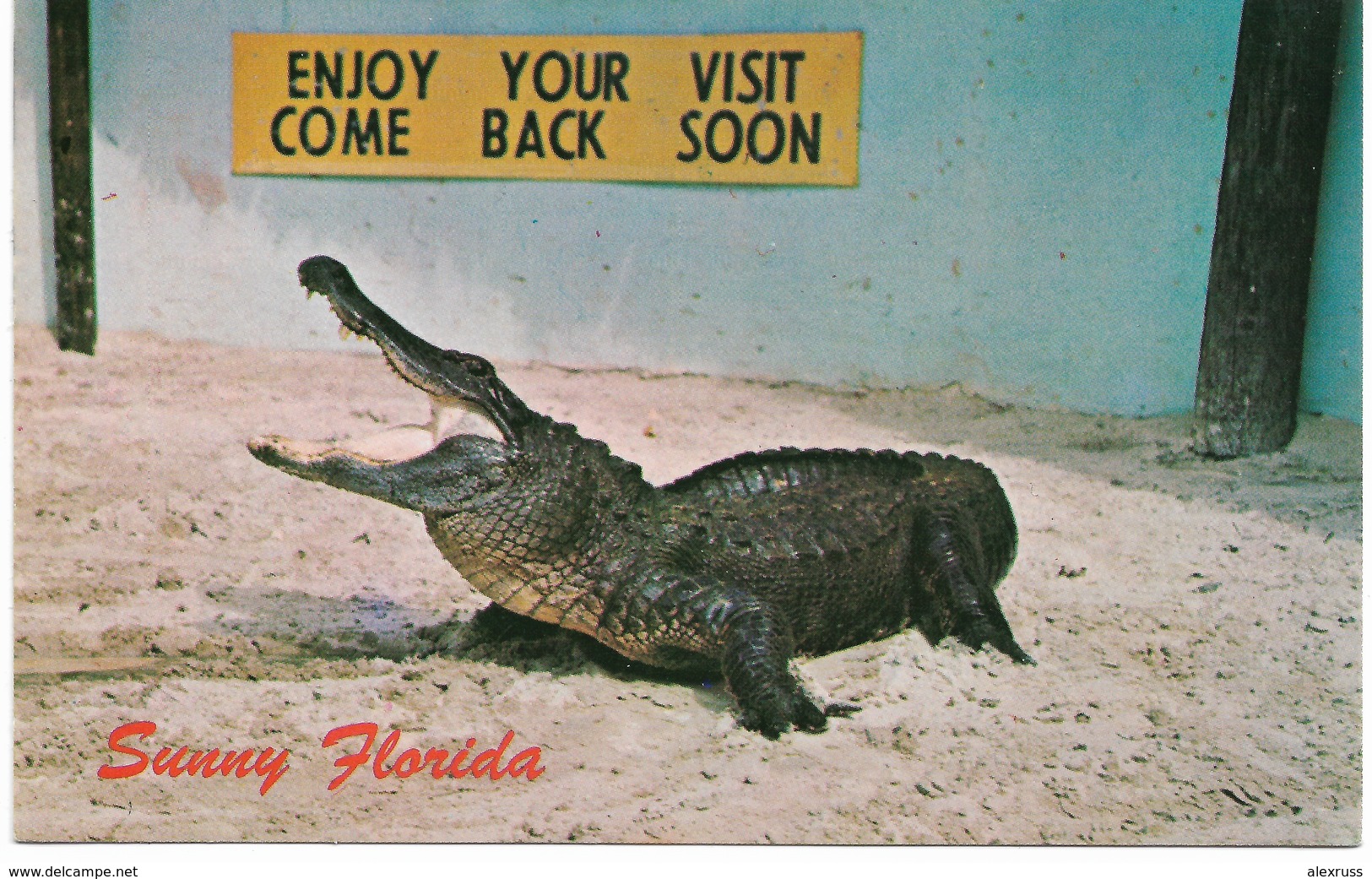 Crocodiles- Alligators,,Vintage Post Card, American Alligator, National Park, Florida,VF Unused  !! - Other & Unclassified