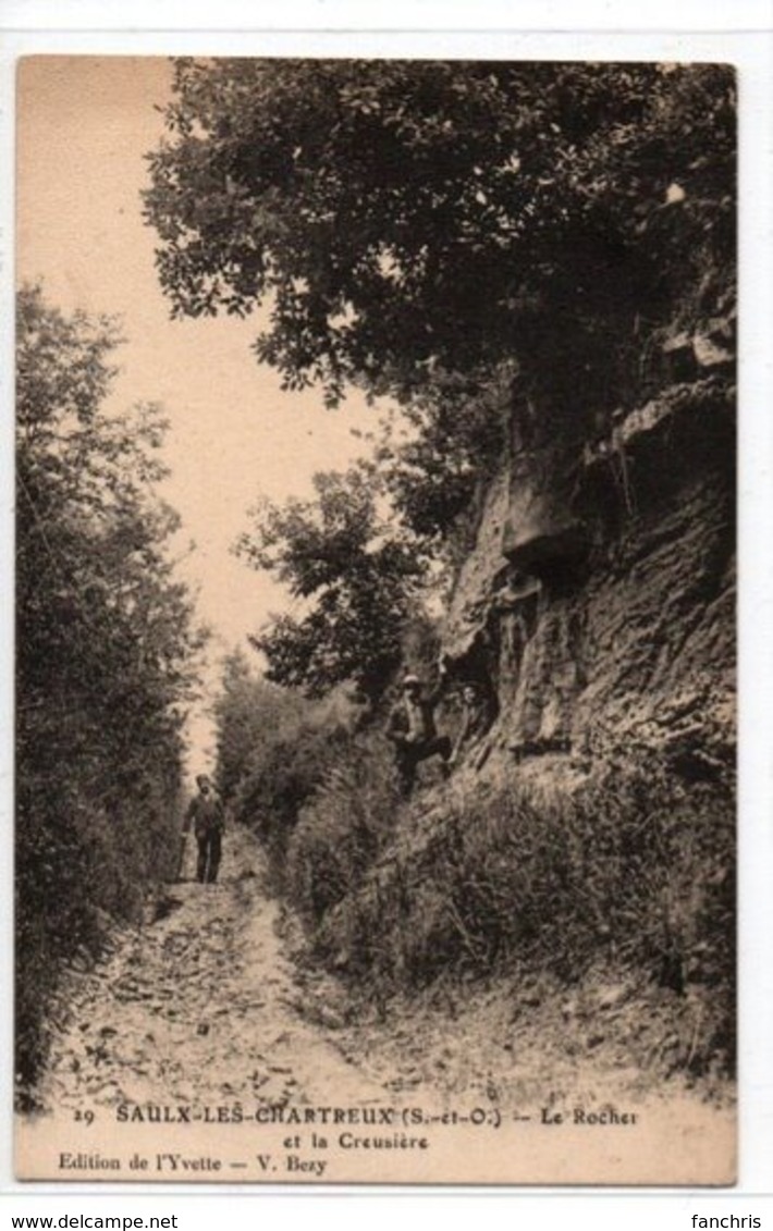 Saulx-les-Chartreux-Le Rocher Et La Creusière - Other & Unclassified