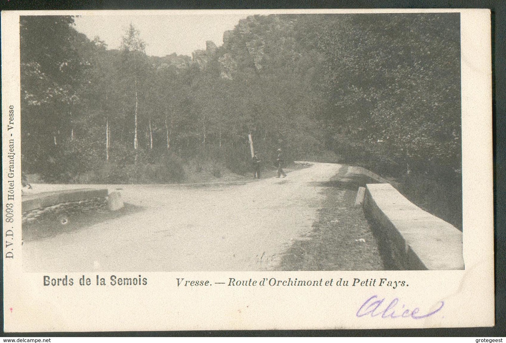 CP Des Bords De La Semois - Vresse - Route D'Orchimont Et Du Petit Fays 1902.  - W0484 - Bievre