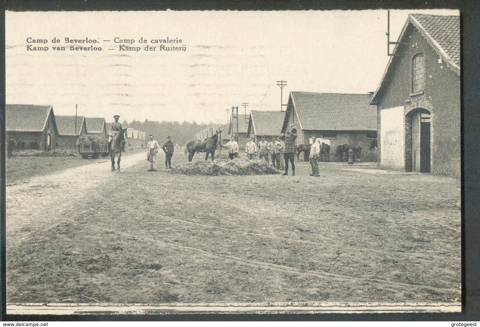 CP Du Camp De Beverloo - Campe De Cavalerie (chevaux) .  - W0485 - Beringen