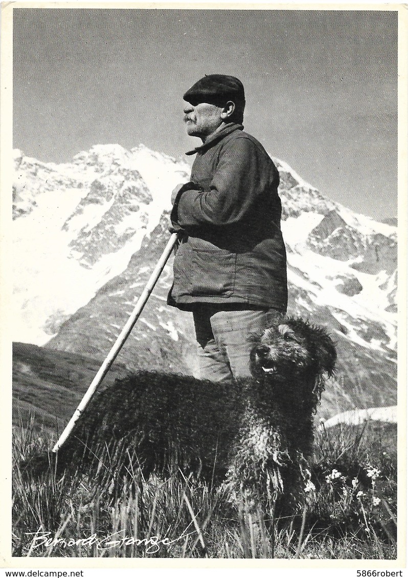 CARTE POSTALE PHOTO SIGNEE BERNARD GRANGE 10/15 ORIGINALE DES EDITIONS EXPO - PHOTO 550 VALLOIRE LE BERGER SAVOIE (73) - Veeteelt