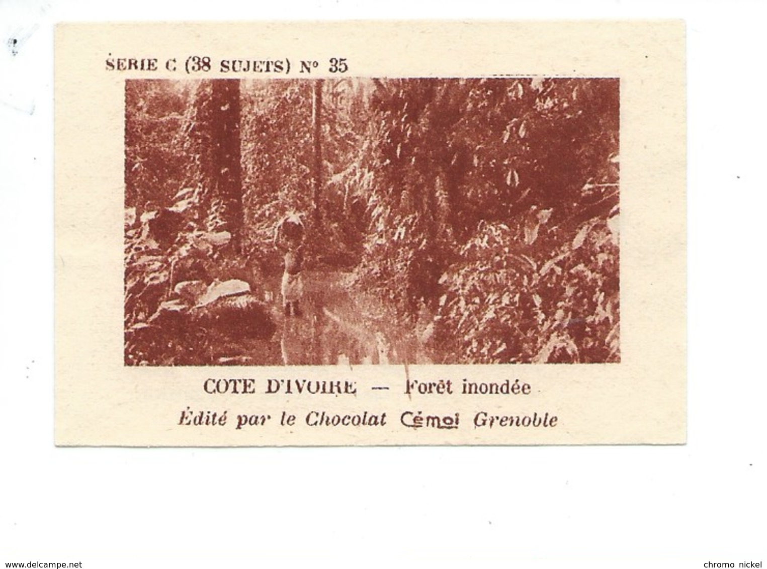 Chromo AOF Côte D'Ivoire Forêt Inondée TB 75 X 50 Mm Pub: Chocolat Cémoi Au Dos Colonies Françaises - Autres & Non Classés