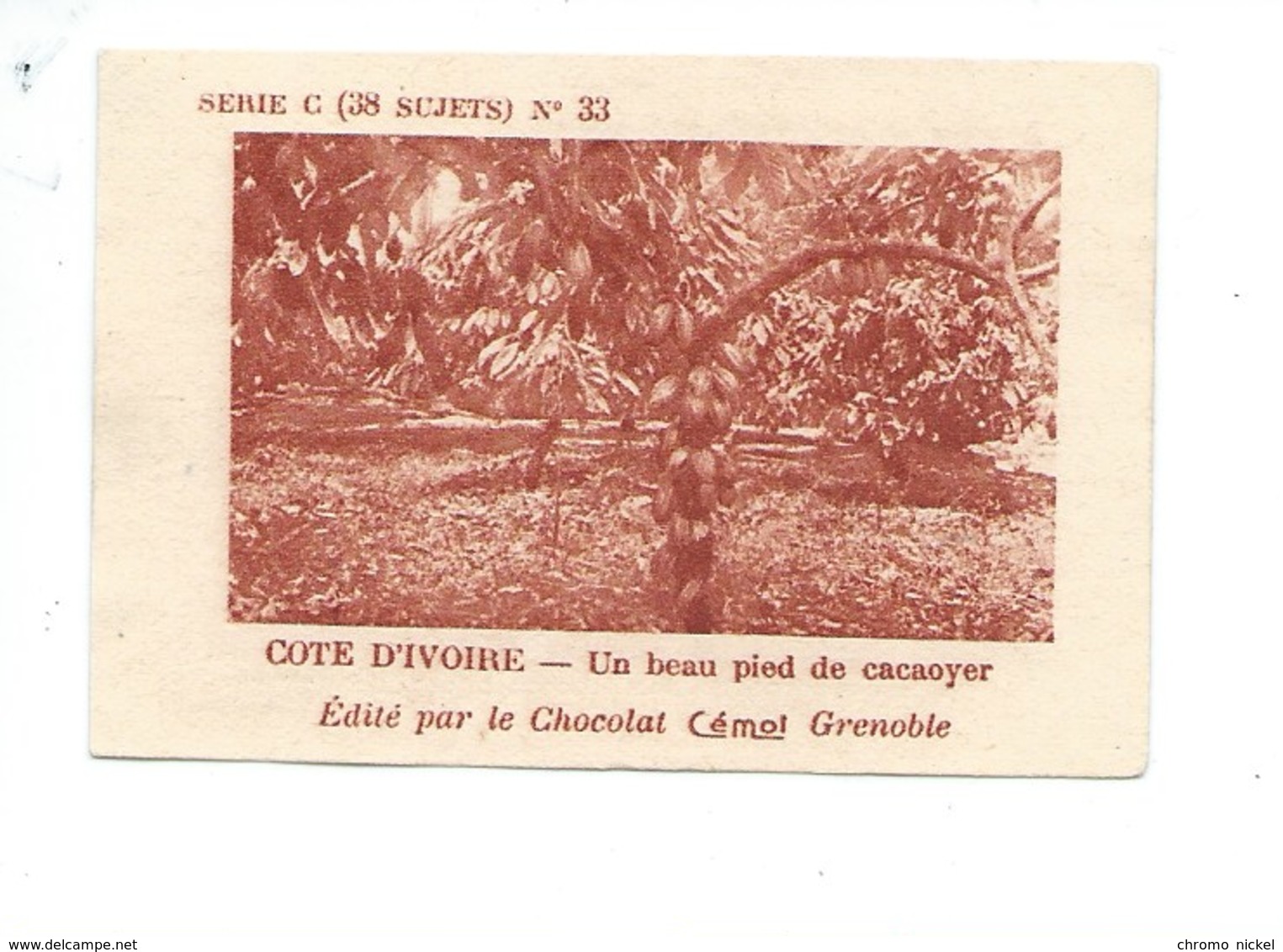 Chromo AOF Côte D'Ivoire CACAOYER CACAO TB 75 X 50 Mm Pub: Chocolat Cémoi Au Dos Colonies Françaises - Autres & Non Classés