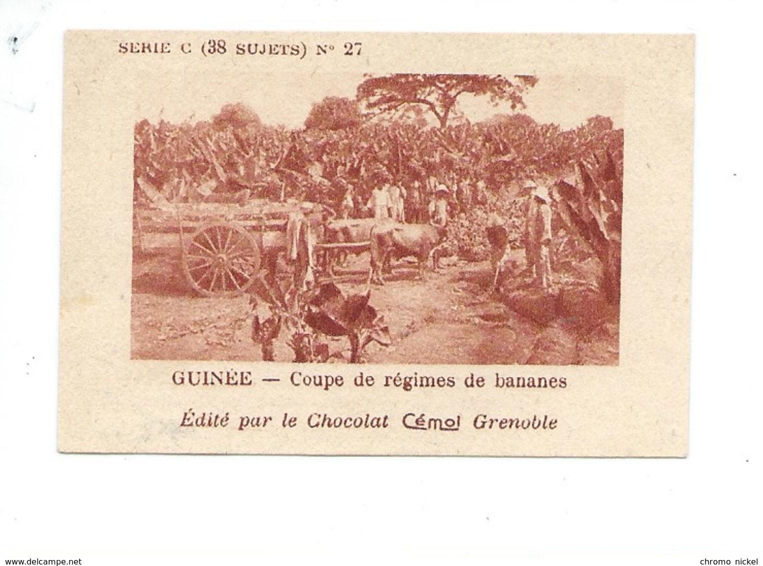 Chromo AOF Guinée Régimes De Bananes TB 75 X 50 Mm Pub: Chocolat Cémoi Au Dos Colonies Françaises - Autres & Non Classés