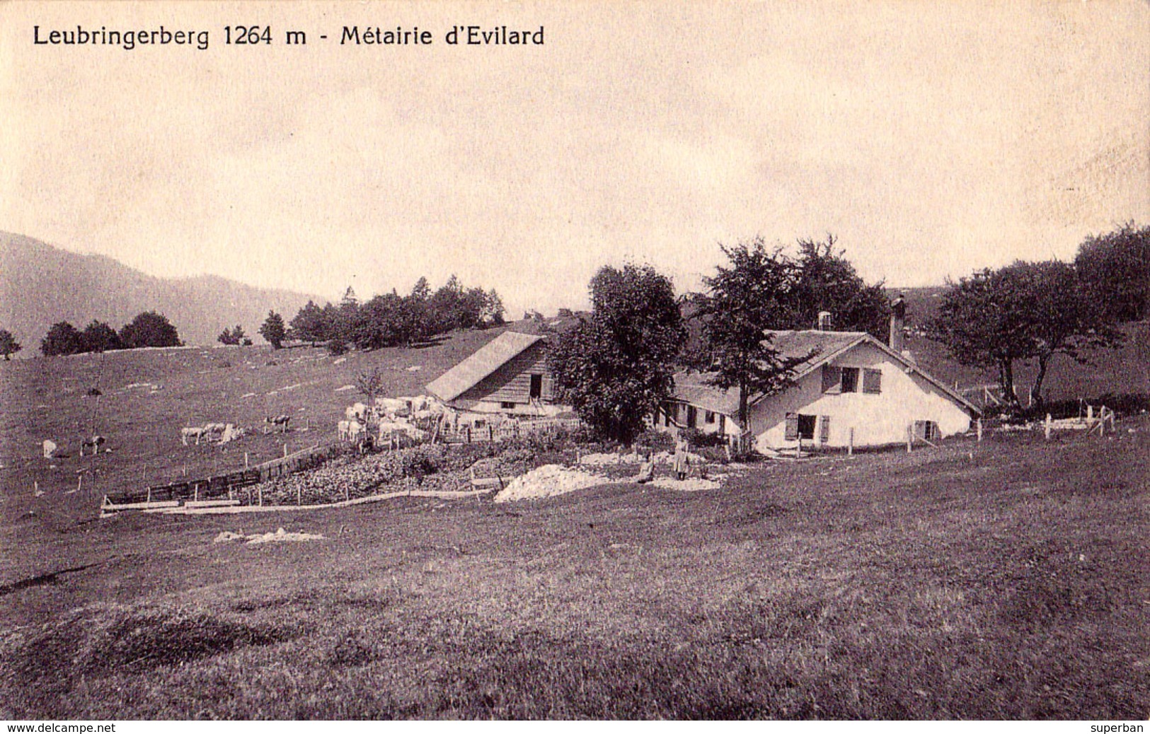 EVILARD / LEUBRINGEN : LEUBRINGERBERG 1264 M - MÉTAIRIE D'EVILARD - ANNÉE / YEAR ~ 1910 - RRR ! (ae057) - Evilard