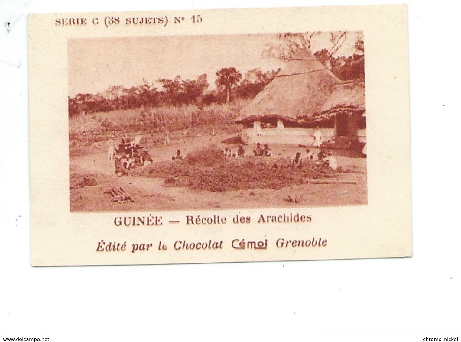 Chromo AOF GUINÉE Récolte Des Arachides TB 75 X 50 Mm Pub: Chocolat Cémoi Au Dos Colonies Françaises - Autres & Non Classés