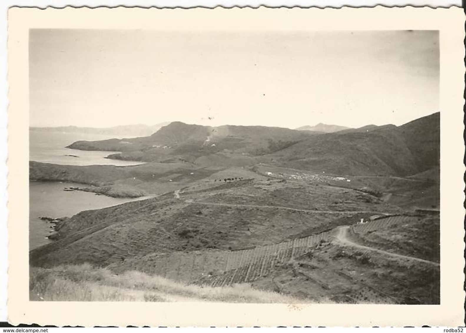 Photo Ancienne - Vers 1950 - Environs De Cérbère - Pyrénnees Orientales - 66 - Luoghi