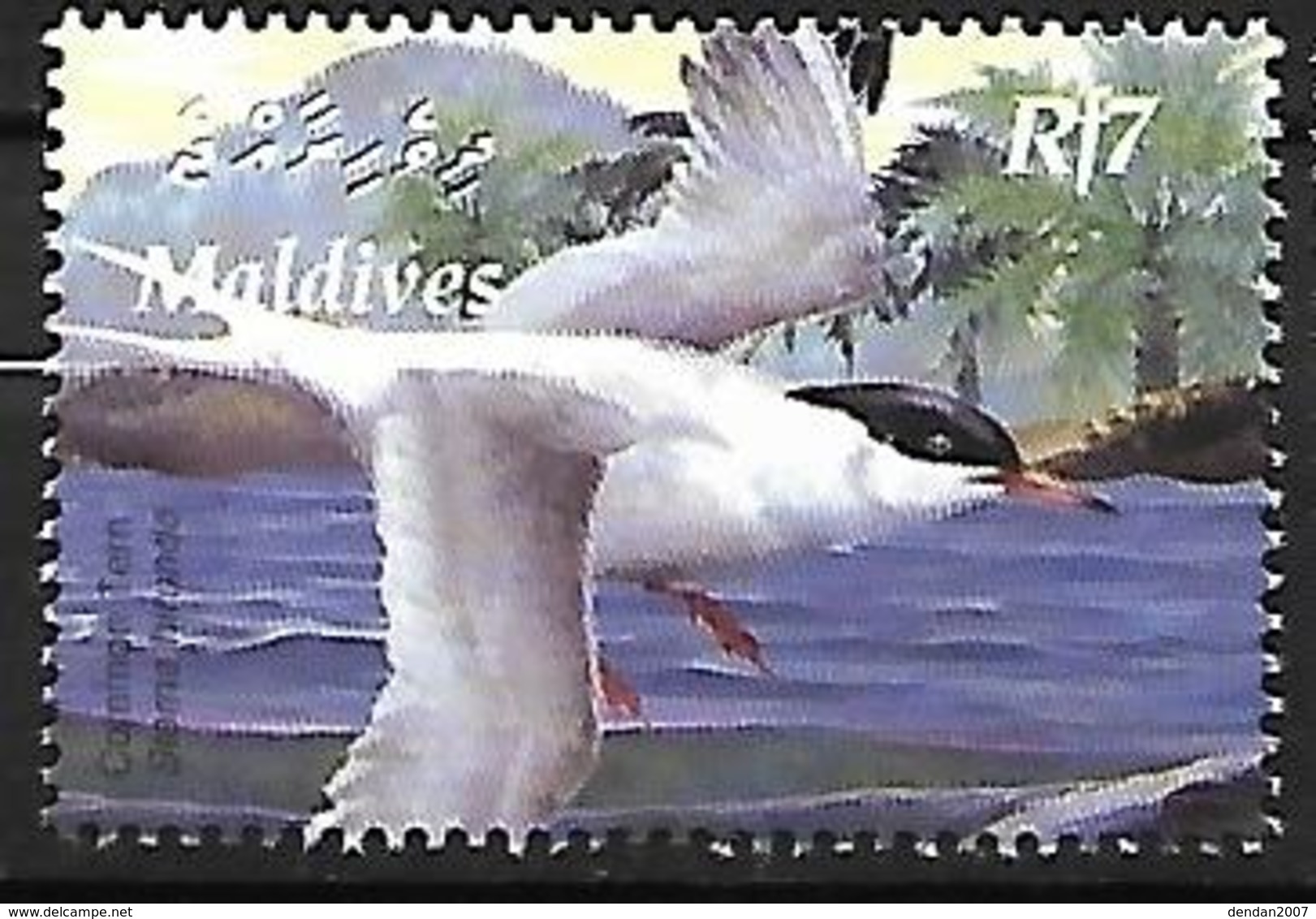 MALDIVES - MNH 2003 :   Common Tern  -  Sterna Hirundo - Seagulls