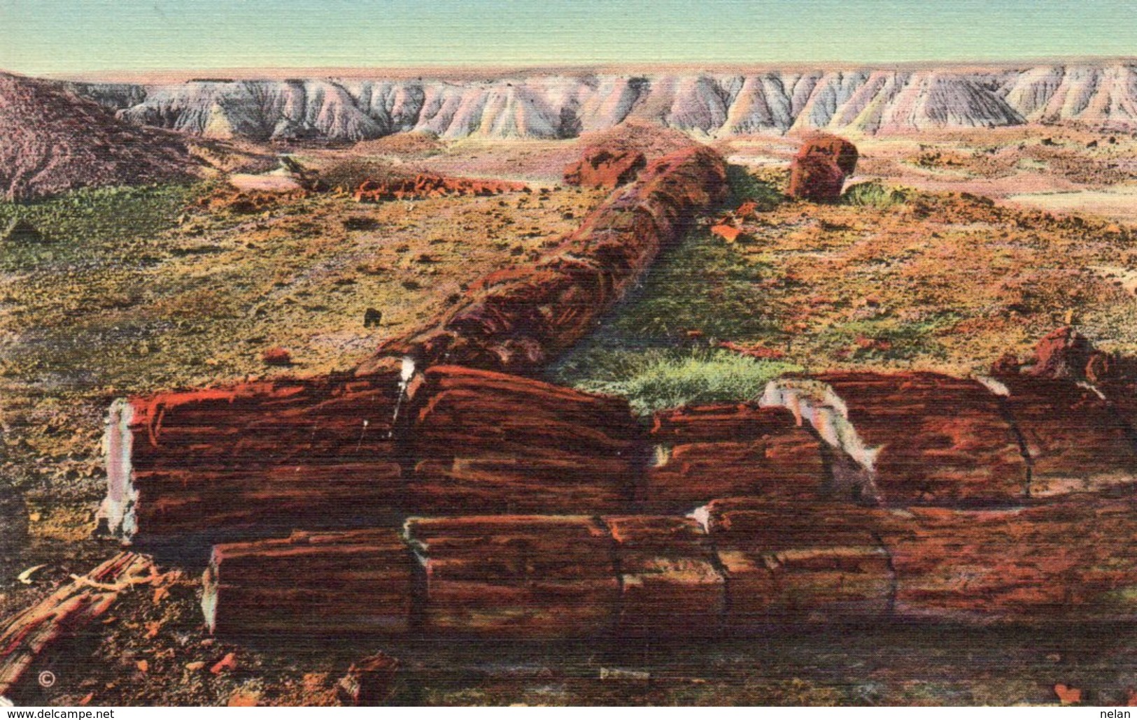 THE TWIN SISTERS-PETRIFIED FOREST-ARIZONA - Altri & Non Classificati