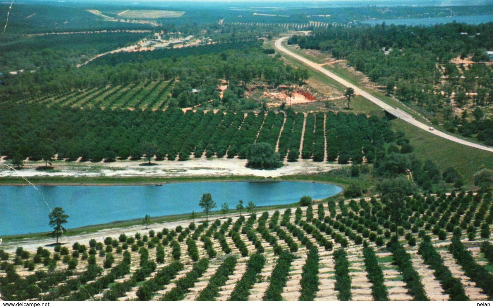 CITRUS GROVES AND LAKES-FLORIDA - Fort Lauderdale