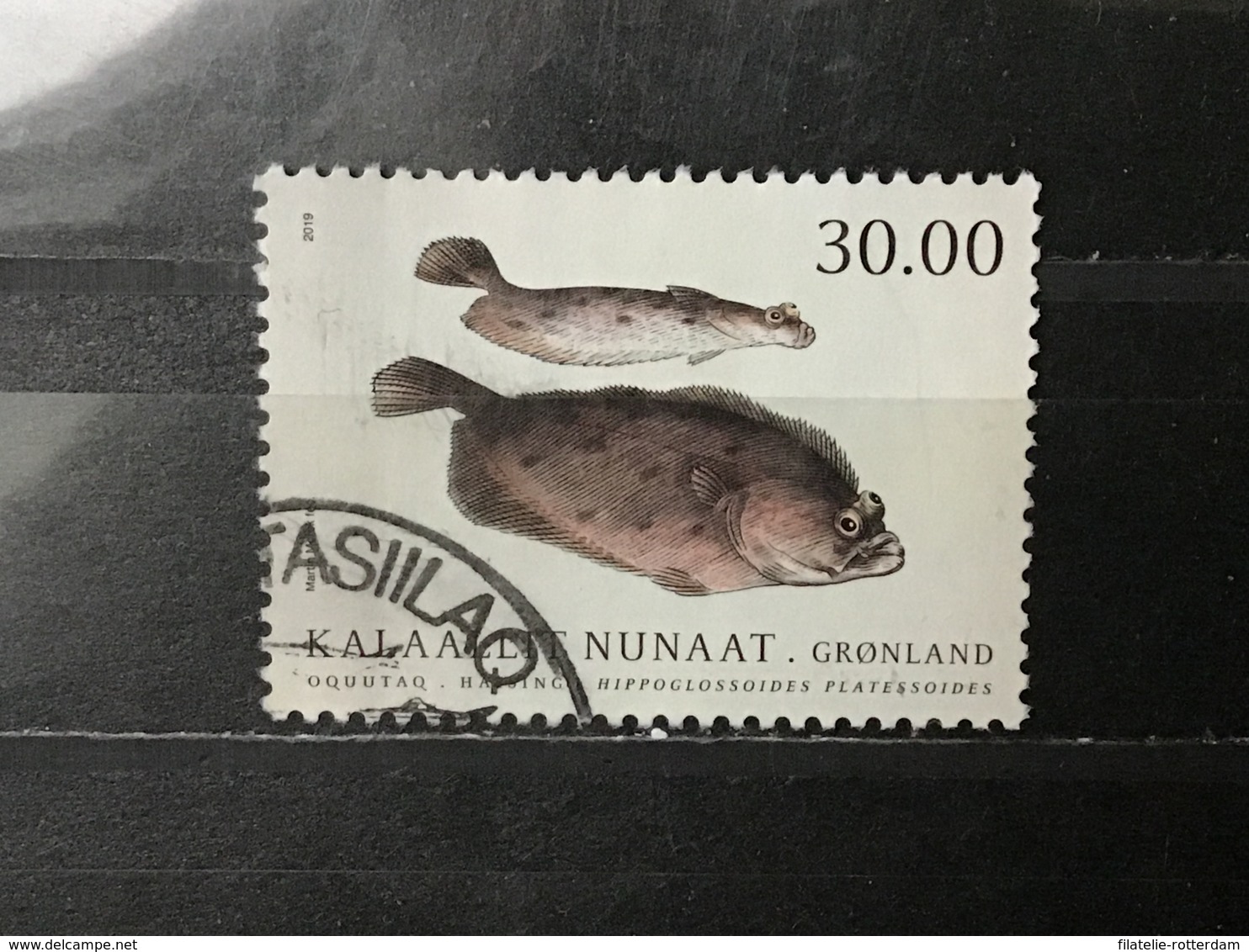 Groenland / Greenland - Vissen (30) 2019 - Used Stamps