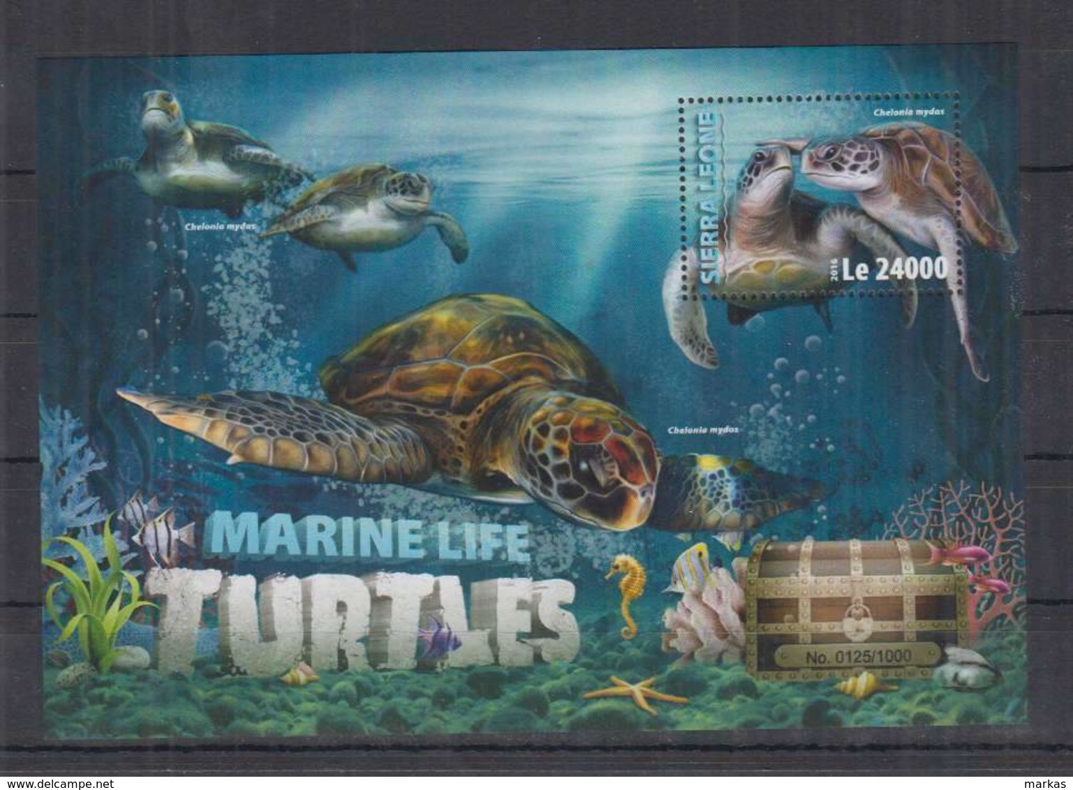 O351. Sierra Leone - MNH - 2016 - Nature - Marine Life - Turtles - Bl - Sonstige & Ohne Zuordnung