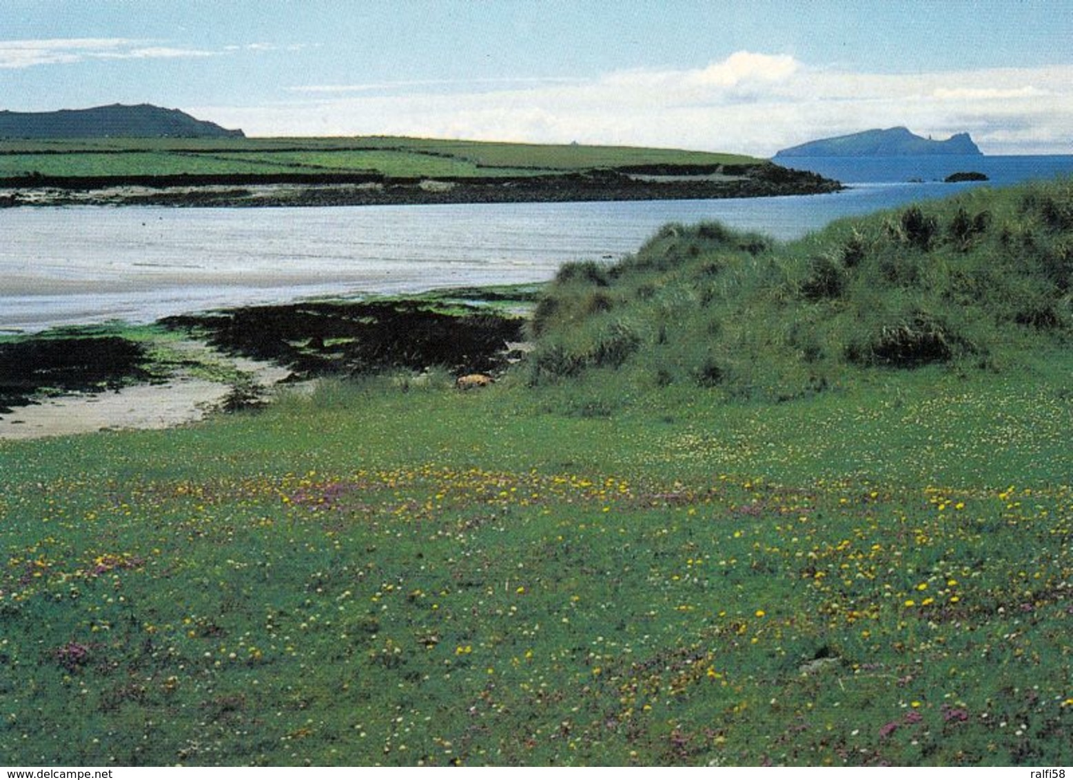 1 AK Irland Ireland * Dingle Halbinsel Blick Zur Insel Inishtooskert - Die Nördlichste Der Blasket-Inseln - County Kerry - Kerry