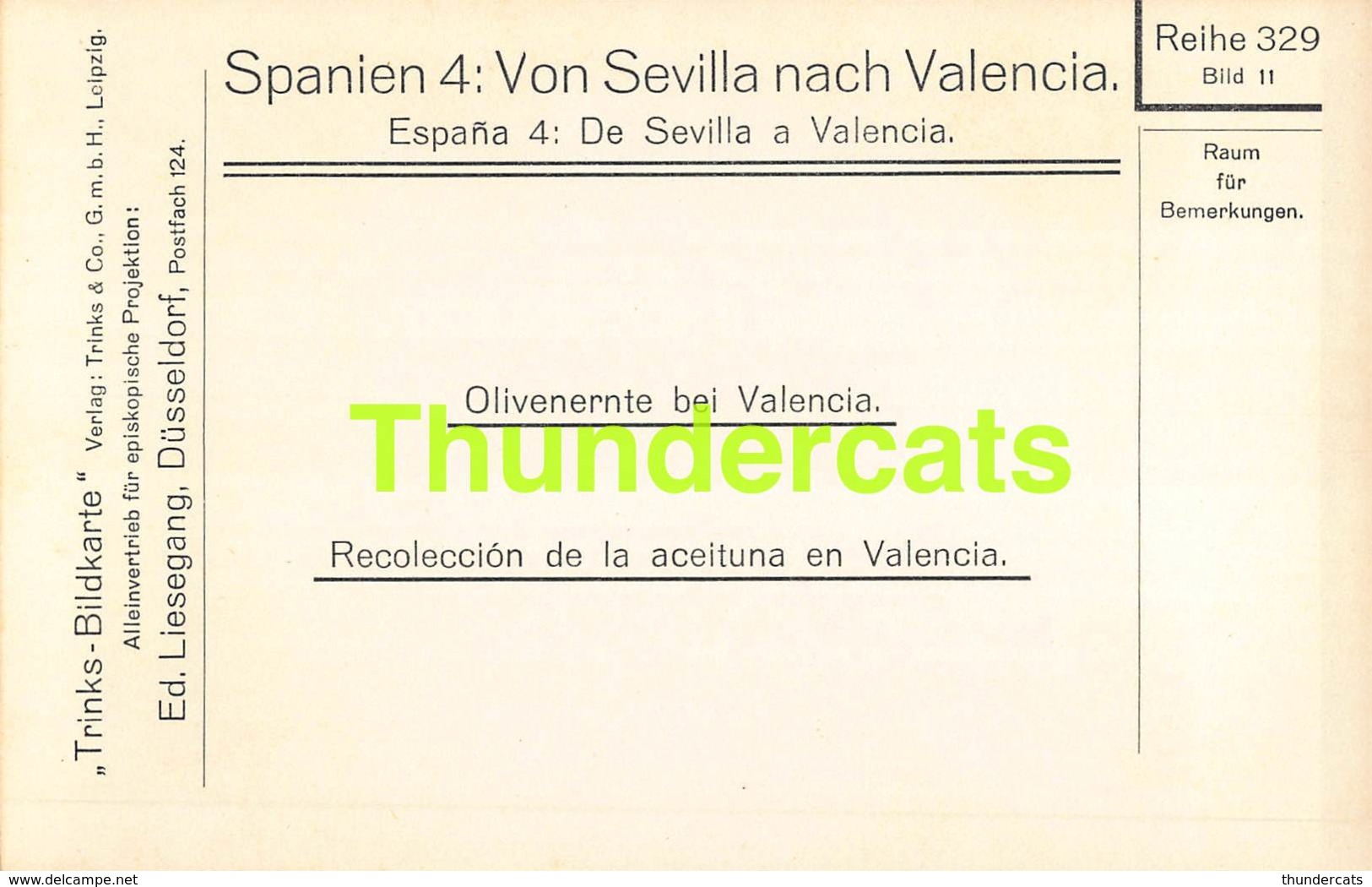CPA CARTE DE PHOTO FOTO ESPAGNA SPAIN SPANIEN ESPAGNE VALENCIA RECOLECCION DE LA ACEITUNA - Valencia
