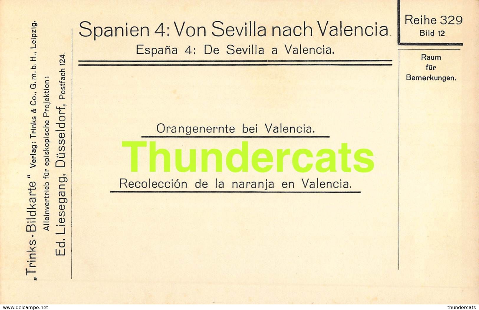 CPA CARTE DE PHOTO FOTO ESPAGNA SPAIN SPANIEN ESPAGNE VALENCIA RECOLECCION DE LA ACEITUNA - Valencia