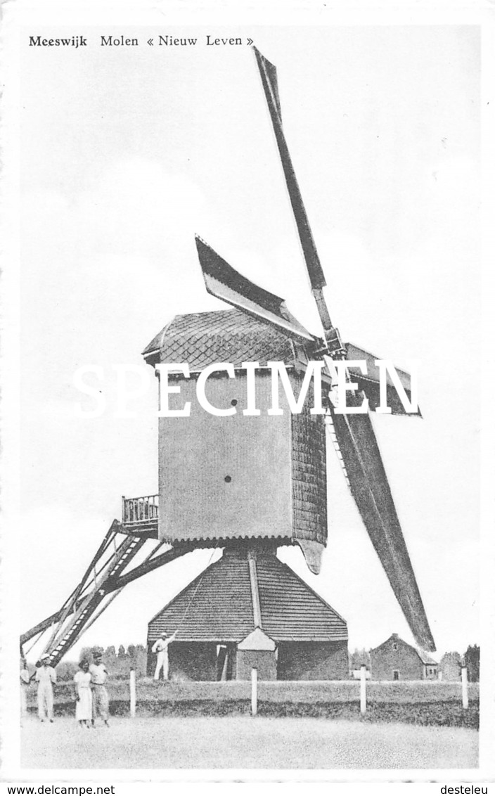 Molen Nieuw Leven - Meeswijk - Maasmechelen