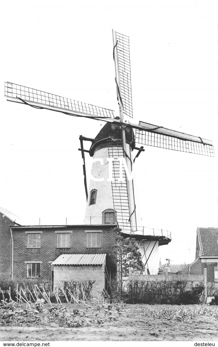 Molen - Ruiselede - Ruiselede