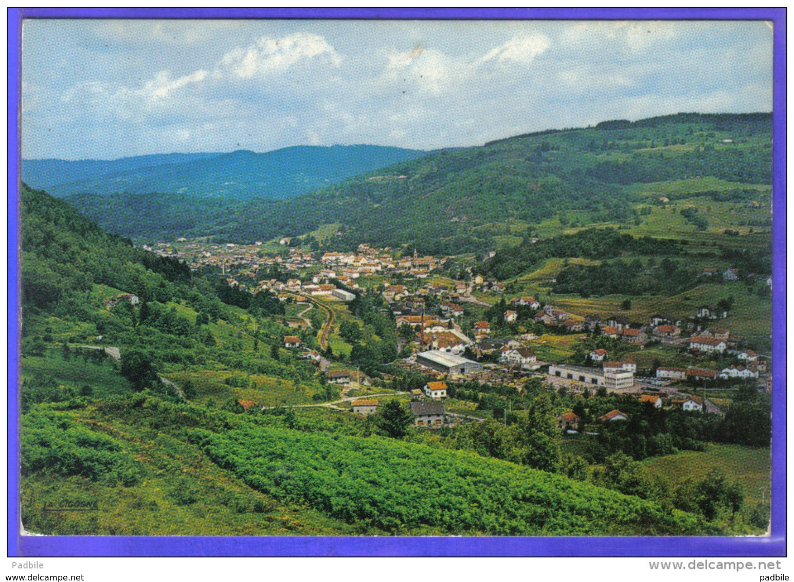 Carte Postale 88. Fresse-sur-Moselle  Et La Hardye  Trés Beau Plan - Fresse Sur Moselle