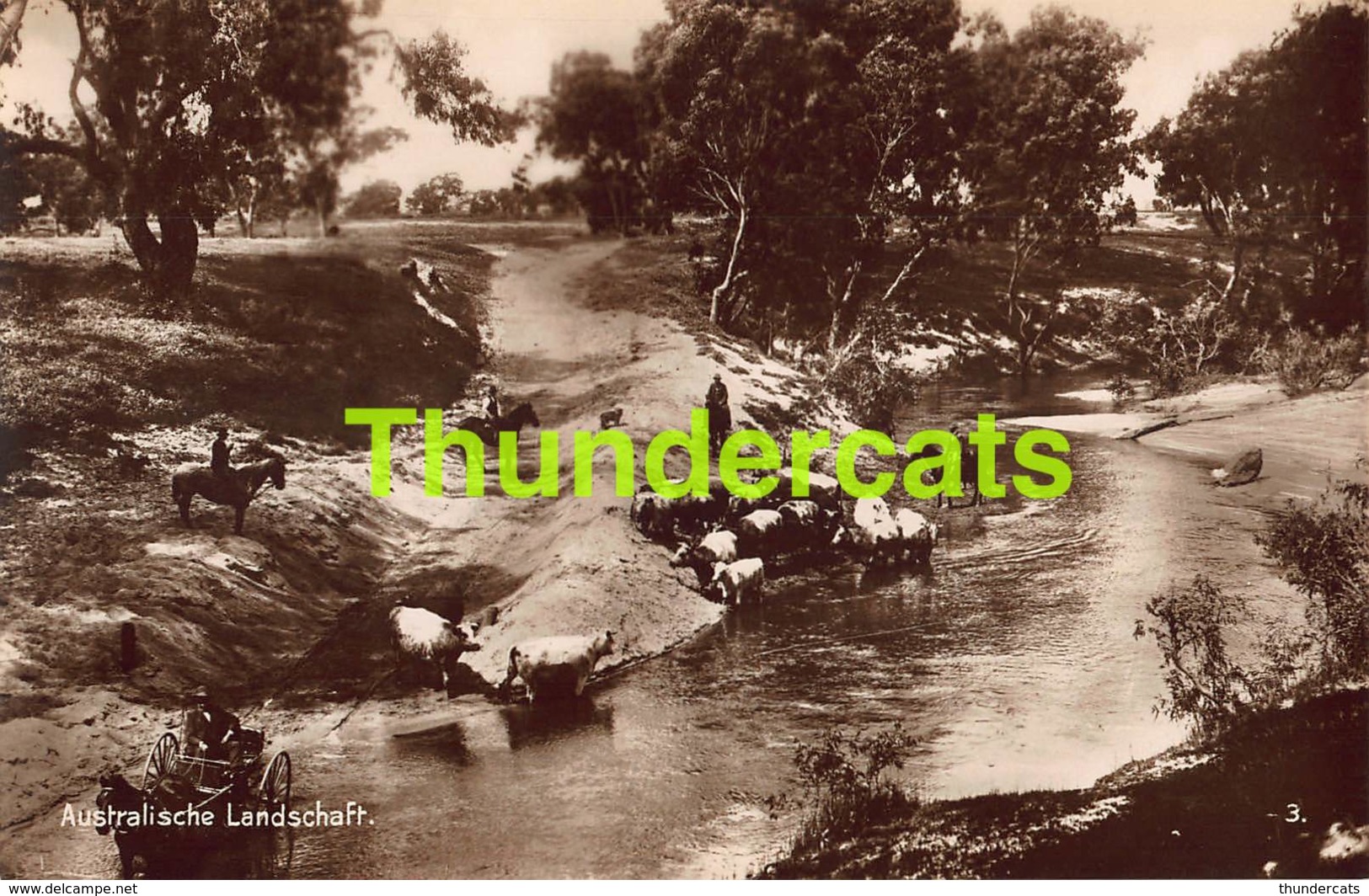 CPA CARTE DE PHOTO RPPC REAL PHOTO POSTCARD AUSTRALIEN AUSTRALIA AUSTRALIAN LANDSCAPE - Autres & Non Classés