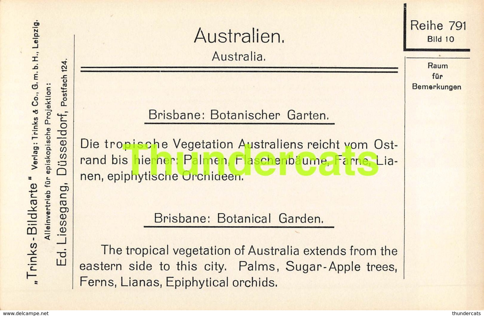 CPA CARTE DE PHOTO RPPC REAL PHOTO POSTCARD AUSTRALIEN AUSTRALIA BRISBANE BOTANICAL GARDEN - Brisbane