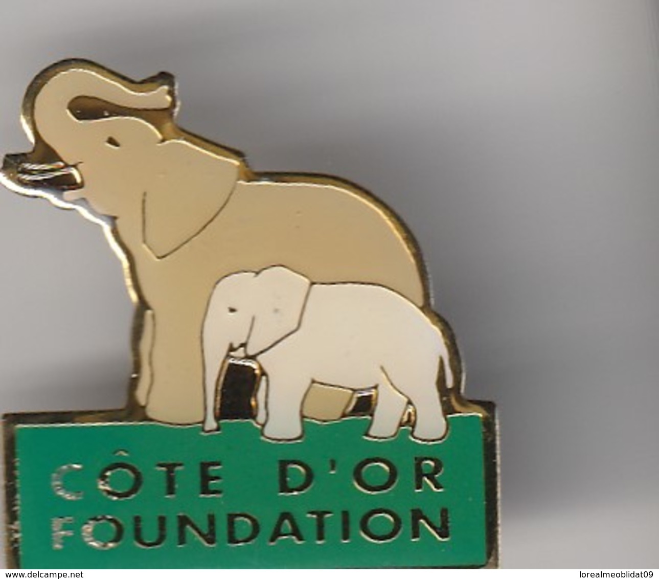 Côte D'Or Fondation Pour Les Elephants - Asociaciones