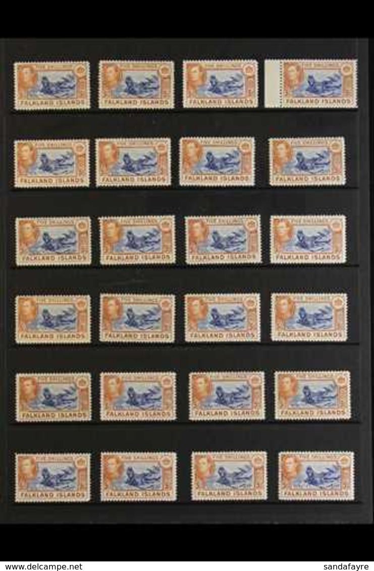 1938-50 5s "SEALION" SHADES ACCUMULATION CAT £2875+ A Stock Page Bearing 24 Fine Mint Examples Of The Pictorial 5s "Sout - Islas Malvinas