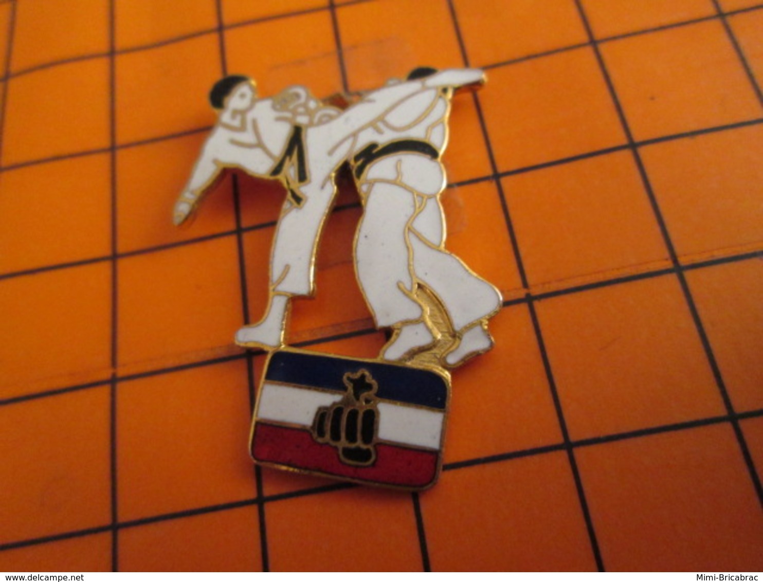 520 Pin's Pins / Beau Et Rare  / THEME SPORTS : JUDO KARATE - Judo