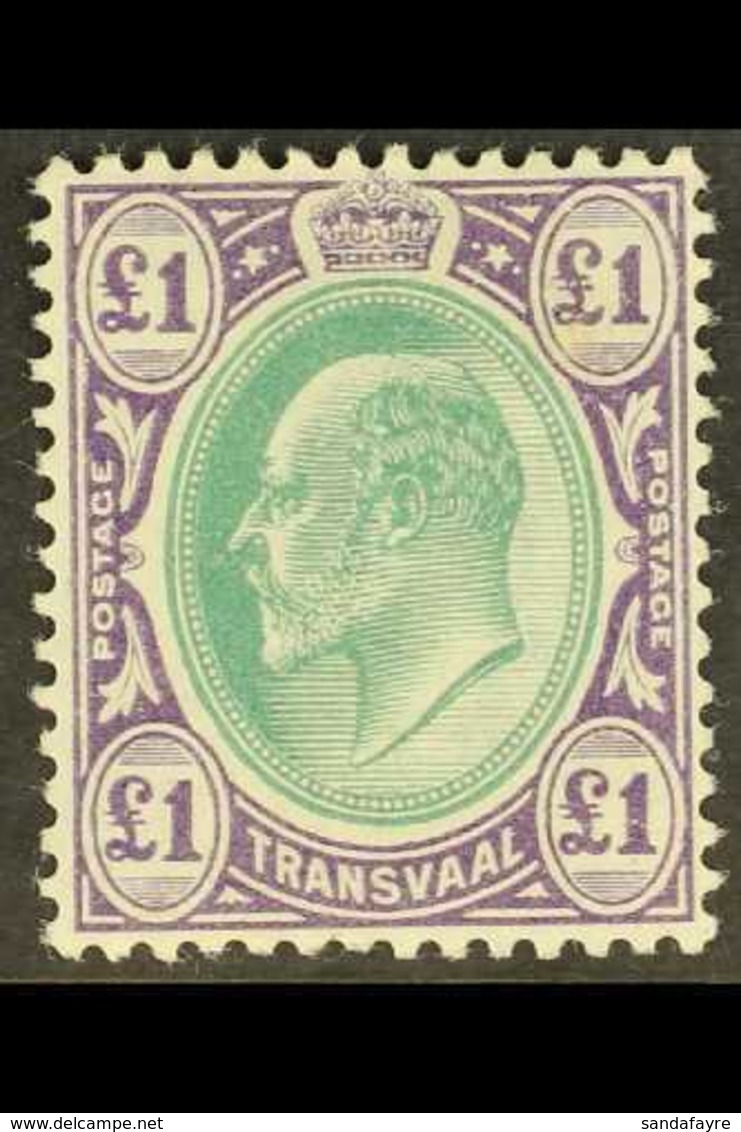 TRANSVAAL 1903 Ed VII £1 Green And Violet, Wmk CA, SG 258, Very Fine Mint. For More Images, Please Visit Http://www.sand - Sin Clasificación