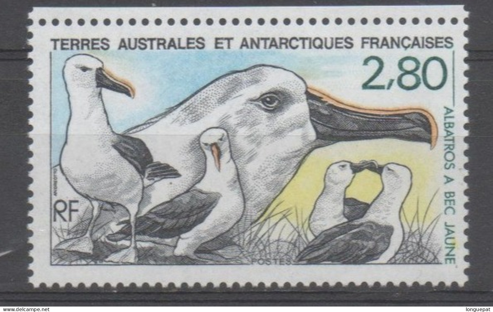 TERRES AUSTRALES ET ANTARCTIQUES FSES - Faune - Albatros à Bec Jaune (Thalassarche Chlororhynchos) - Oideau De Mer - Neufs