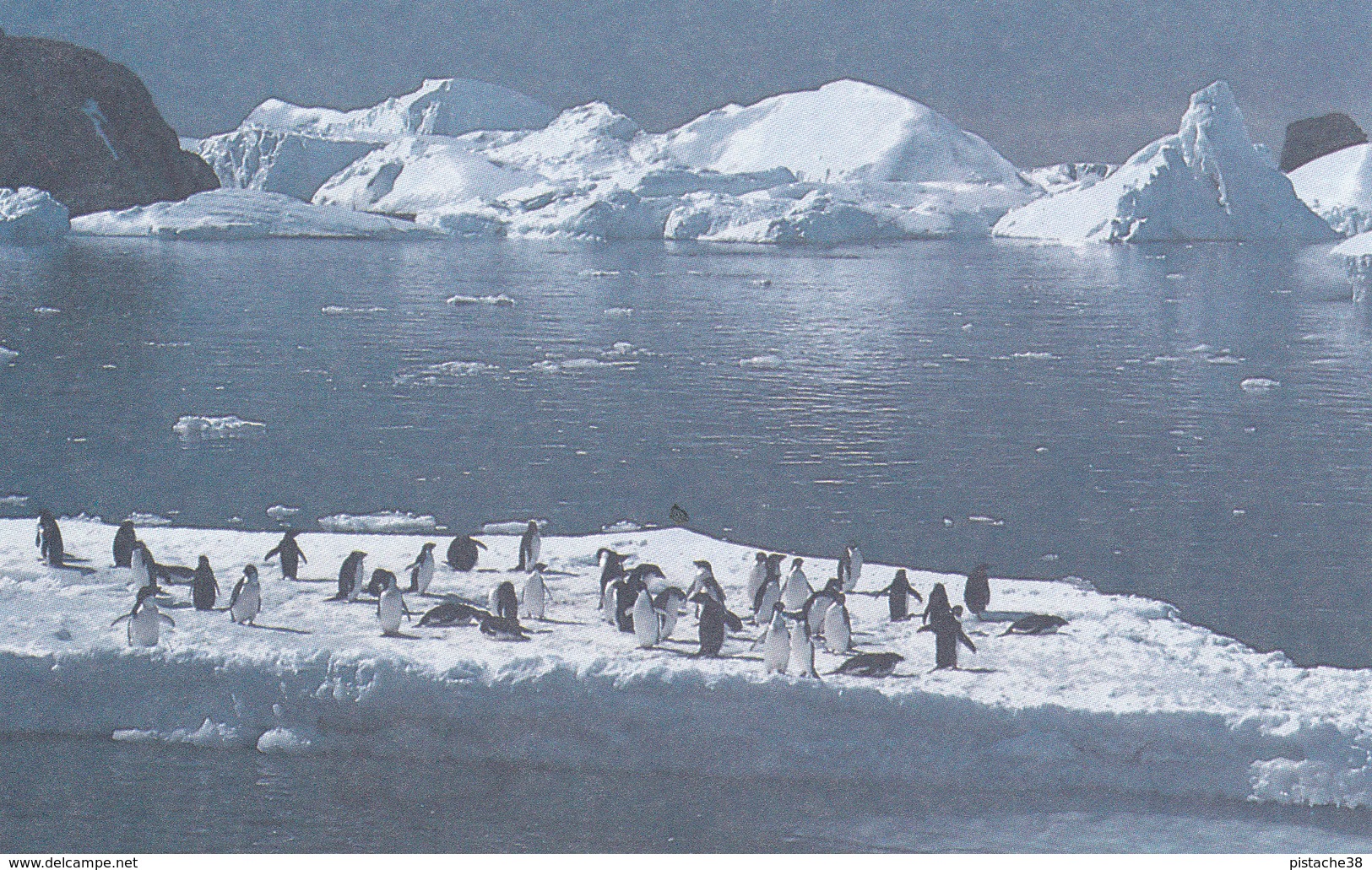 Entier Postal Amiral MAX DOUGUET Avec Oblitération   PORT Aux FRANCAIS KERGUELEN Du 6 Août 1991 - TAAF : Territorios Australes Franceses