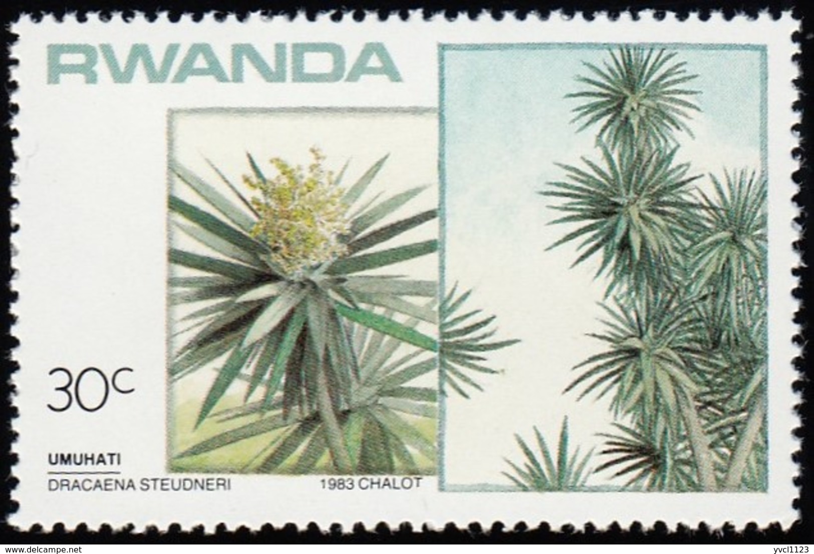 RWANDA - Scott #1168 Dracaena Steudneri / Mint NH Stamp - Alberi