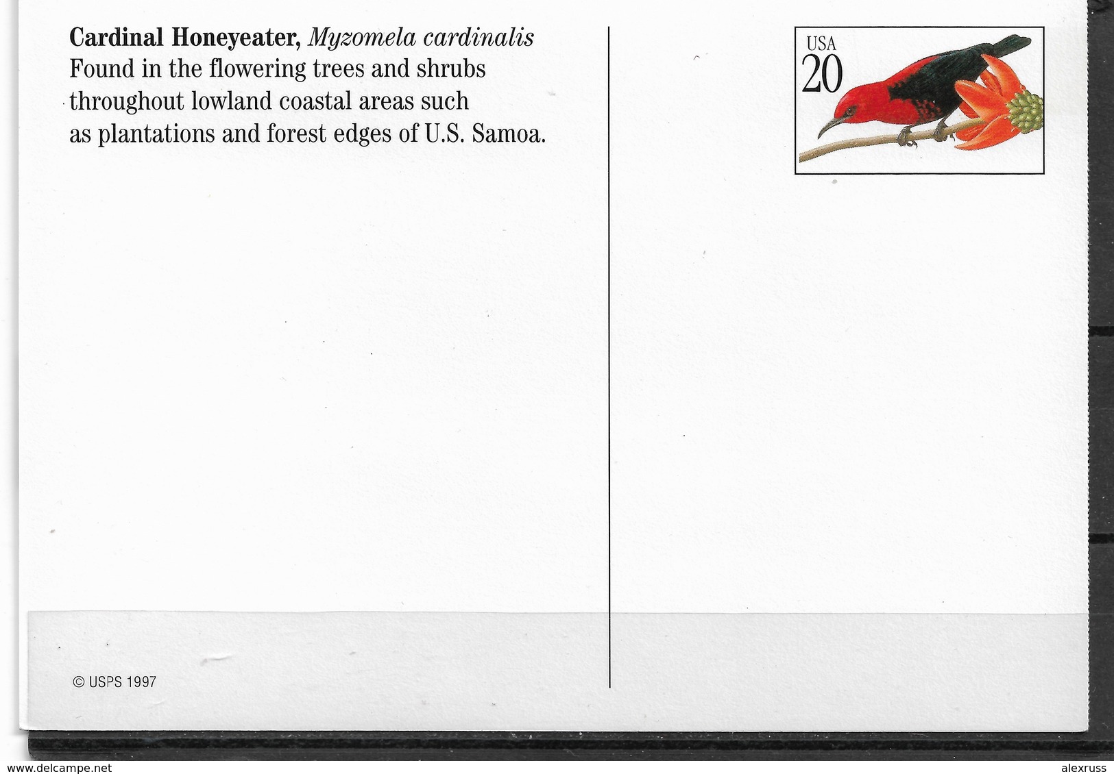 US Post Card, Birds, Cardinal Honeyeater 20c,VF Unused, Unposted !!! - Birds