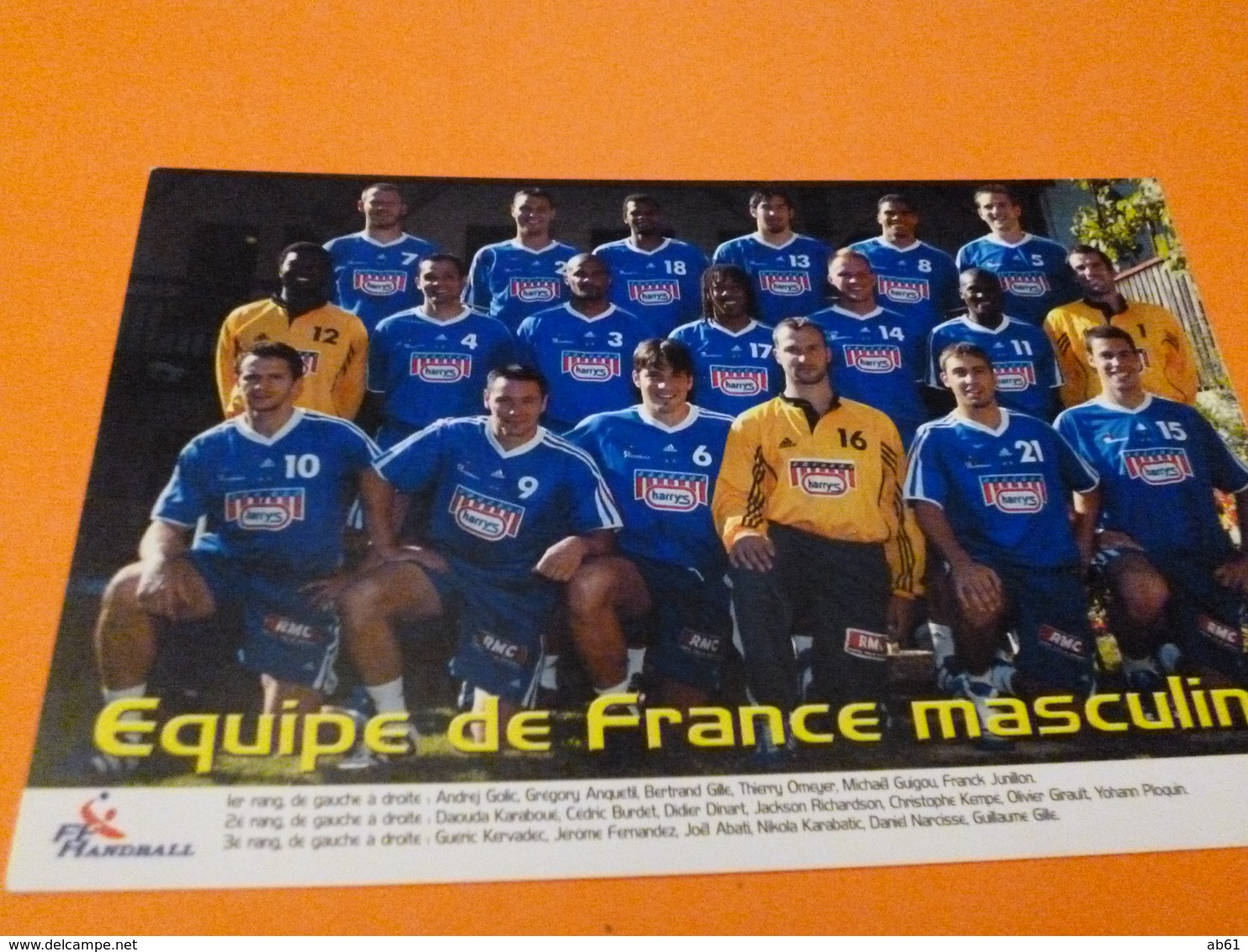 Equipe De France Masculine De Handball  Photo Stadium - Handball