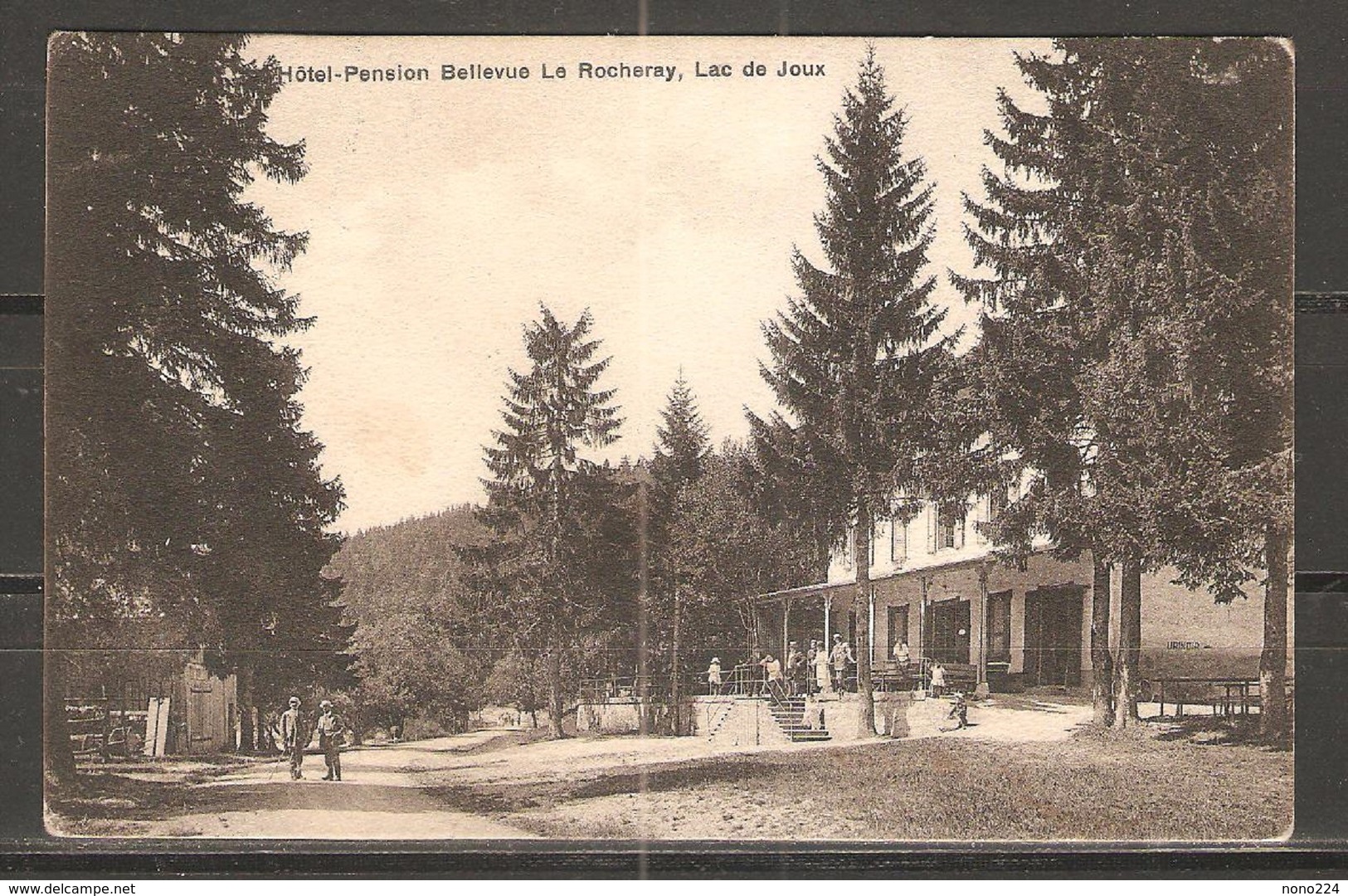 Carte P De 1929 ( Hôtel Pension Bellevue Le Rocheray / Lac De Joux ) - Roche
