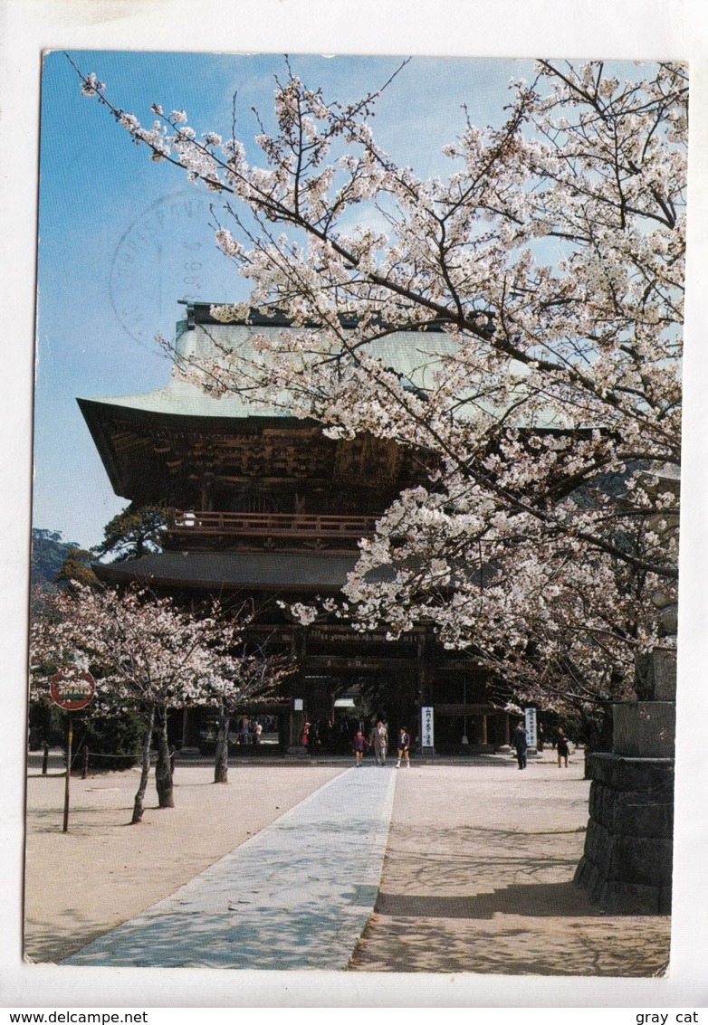 JAPAN, The Kenchoji Temple And Cherry Trees, Used Postcard [23881] - Other & Unclassified