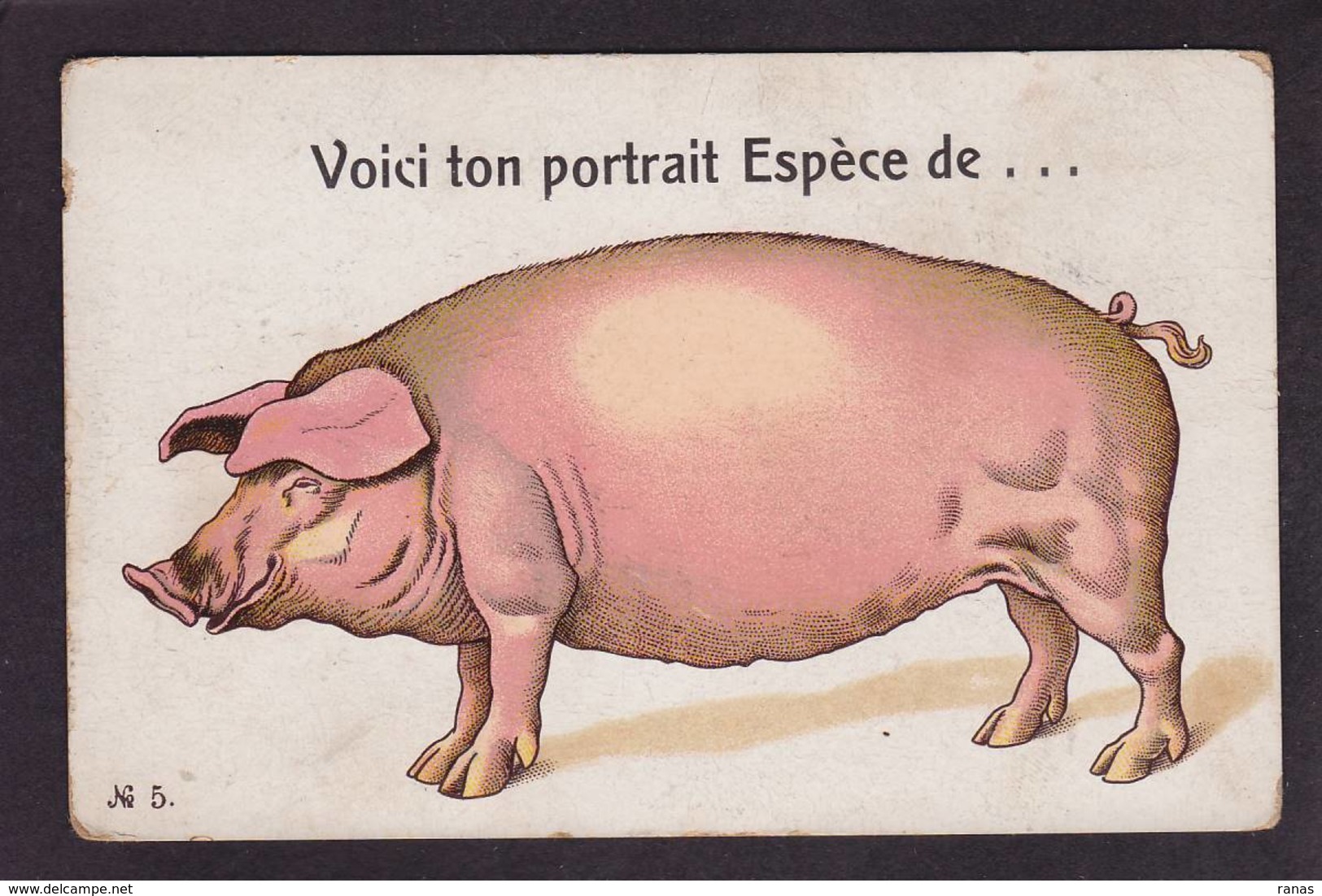 CPA Cochon Pig  Non Circulé - Cochons