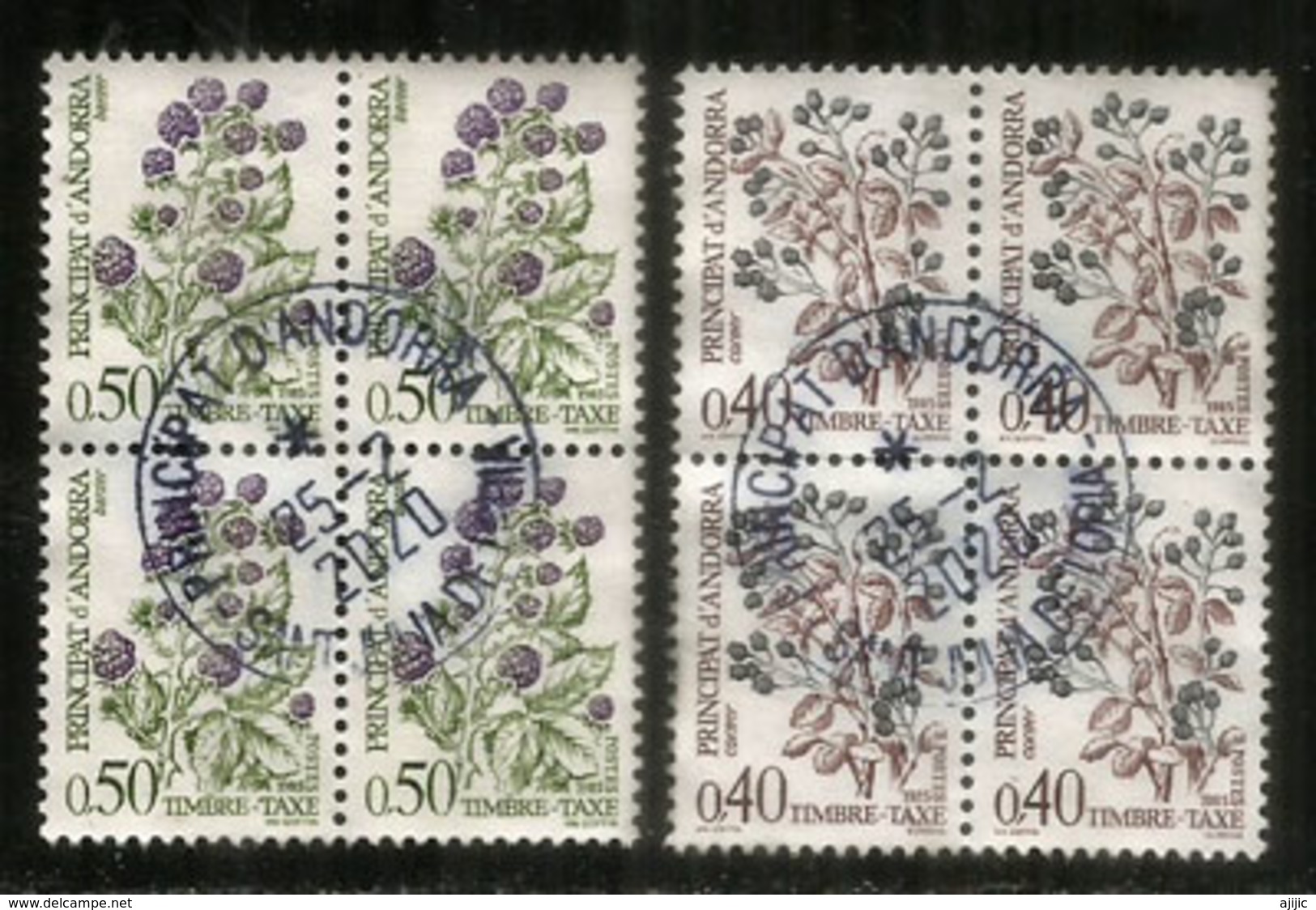 Baies Sauvages: Nèfles & Mures. 2 Blocs De 4 Oblitérés. 1 ère Qualité - Used Stamps