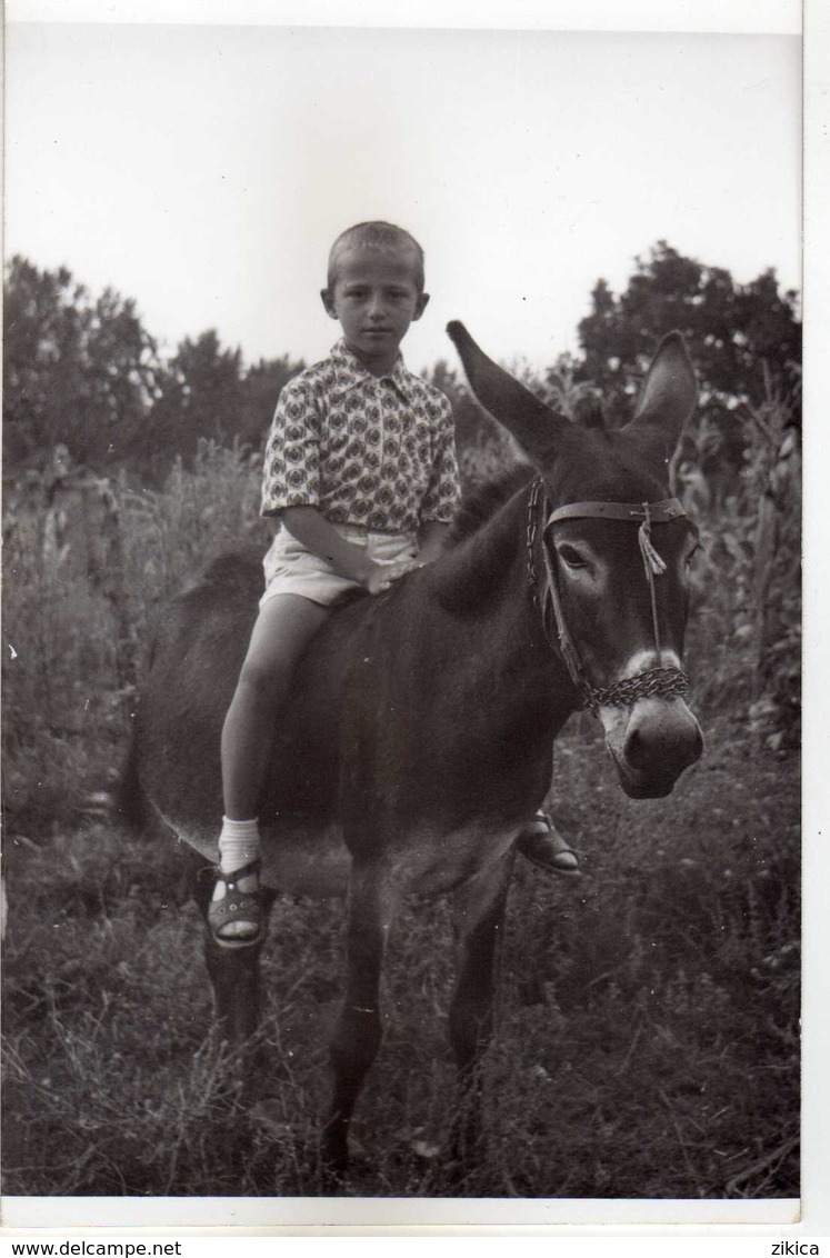 Photo - Anonymous Persons.children Boy And Donkey.Macedonia / Macedoine / Mazedonien - Personnes Anonymes