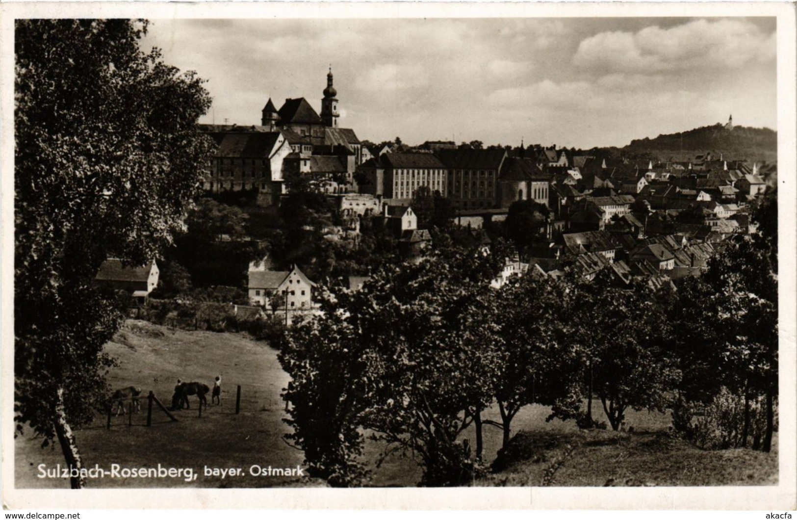 CPA AK Sulzbach-Rosenberg - Panorama GERMANY (962704) - Sulzbach-Rosenberg