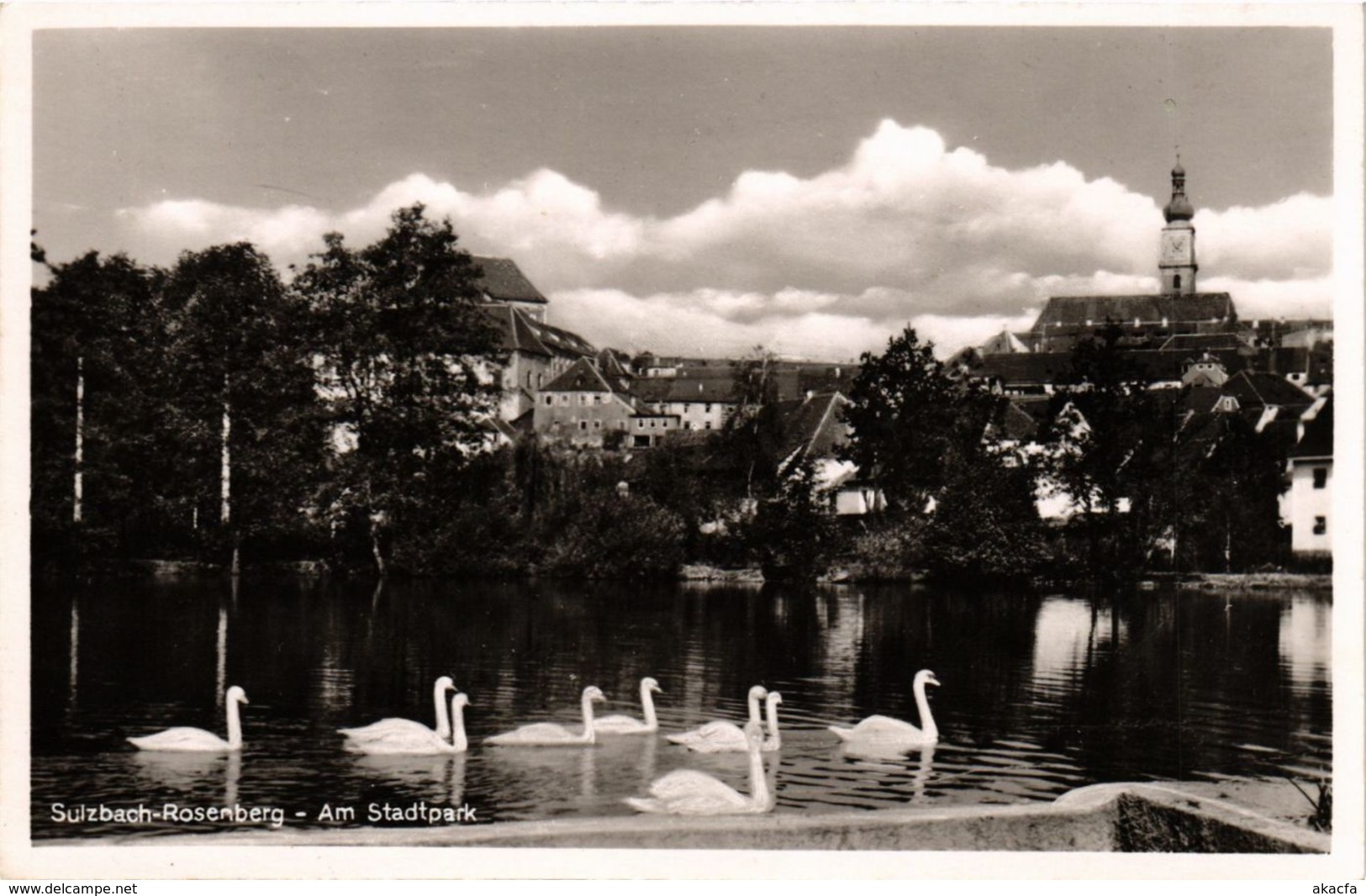 CPA AK Sulzbach-Rosenberg - Am Stadtpark GERMANY (962717) - Sulzbach-Rosenberg