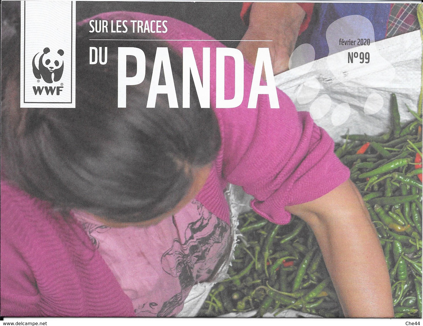 Sur Les Traces Du Panda N°99. (Voir Commentaires) - Briefe U. Dokumente