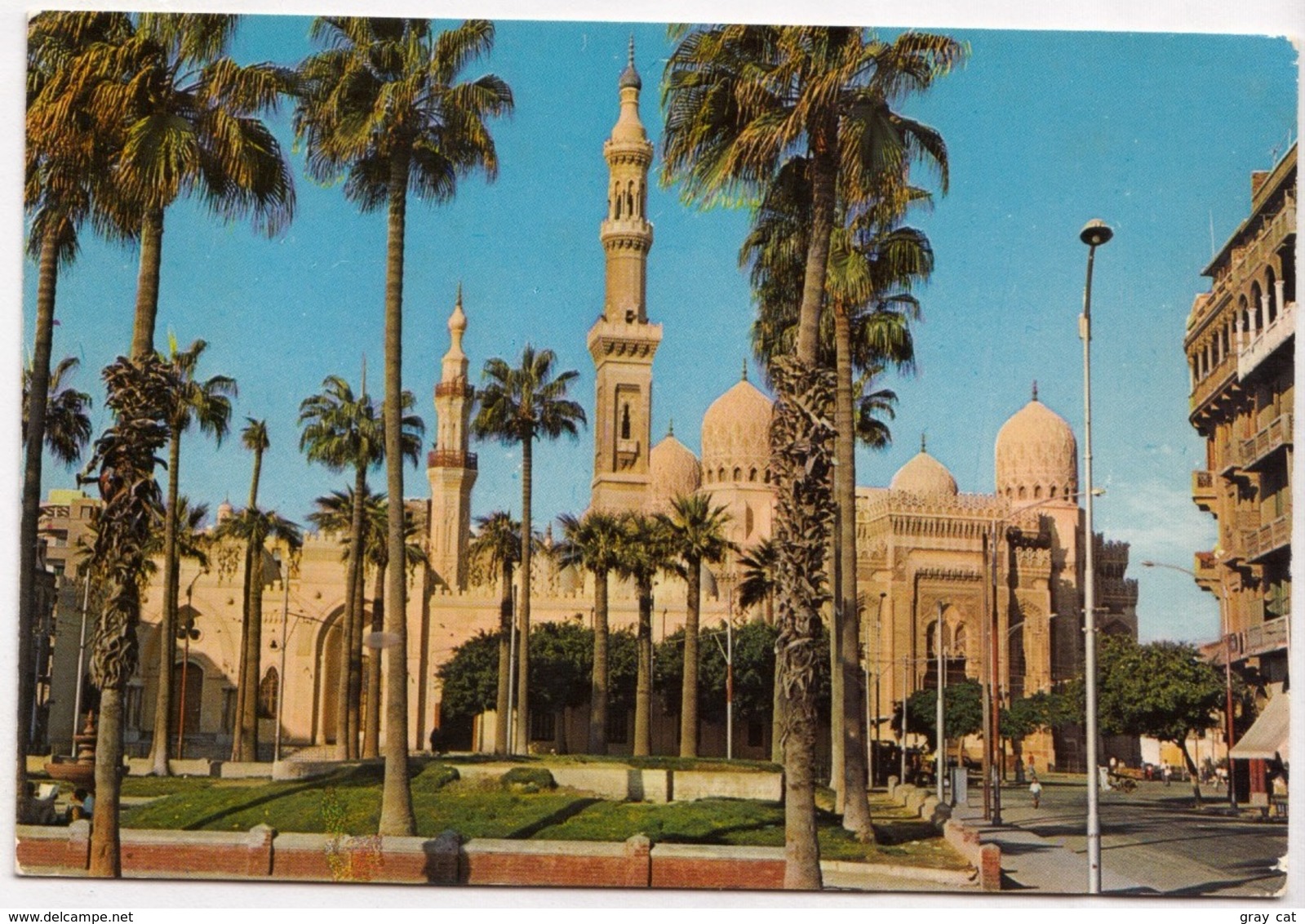 Alexandria, Abou El Abbas Mosque, Egypt, Unused Postcard [23897] - Other & Unclassified