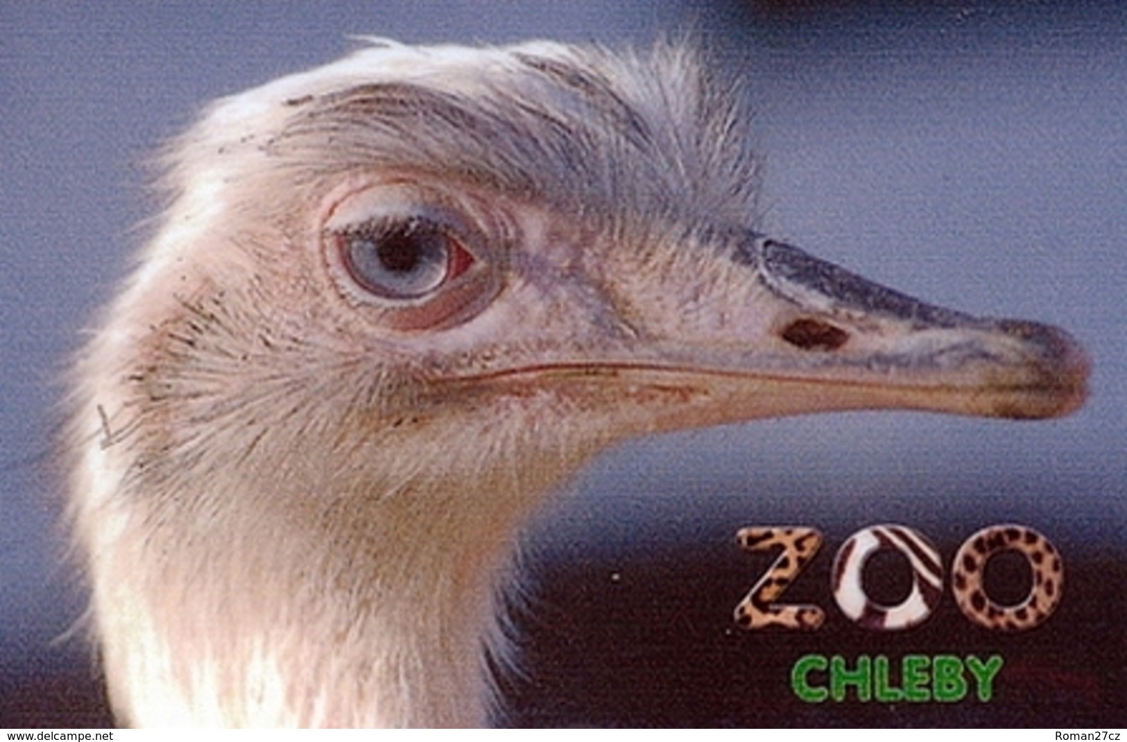 Zoo Chleby (CZ) - Rhea - Animaux & Faune