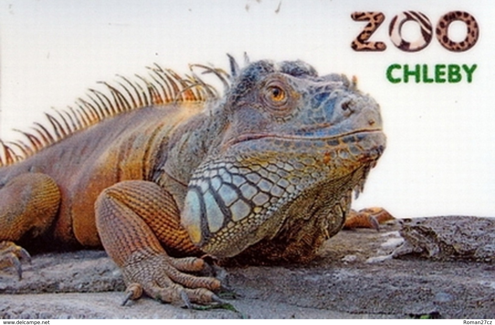 Zoo Chleby (CZ) - Iguana - Animals & Fauna