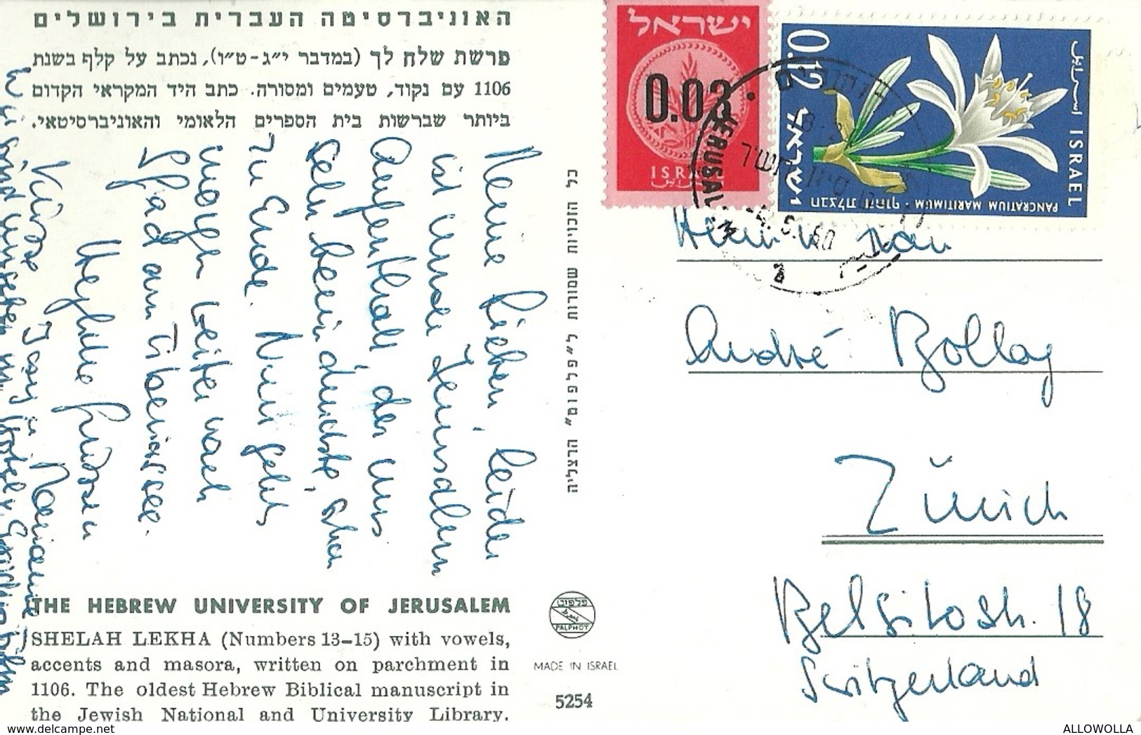 6618 " ANTICO MANOSCRITTO BIBLICO EBRAICO " CART. POST ORIG. SPEDITA - Israele